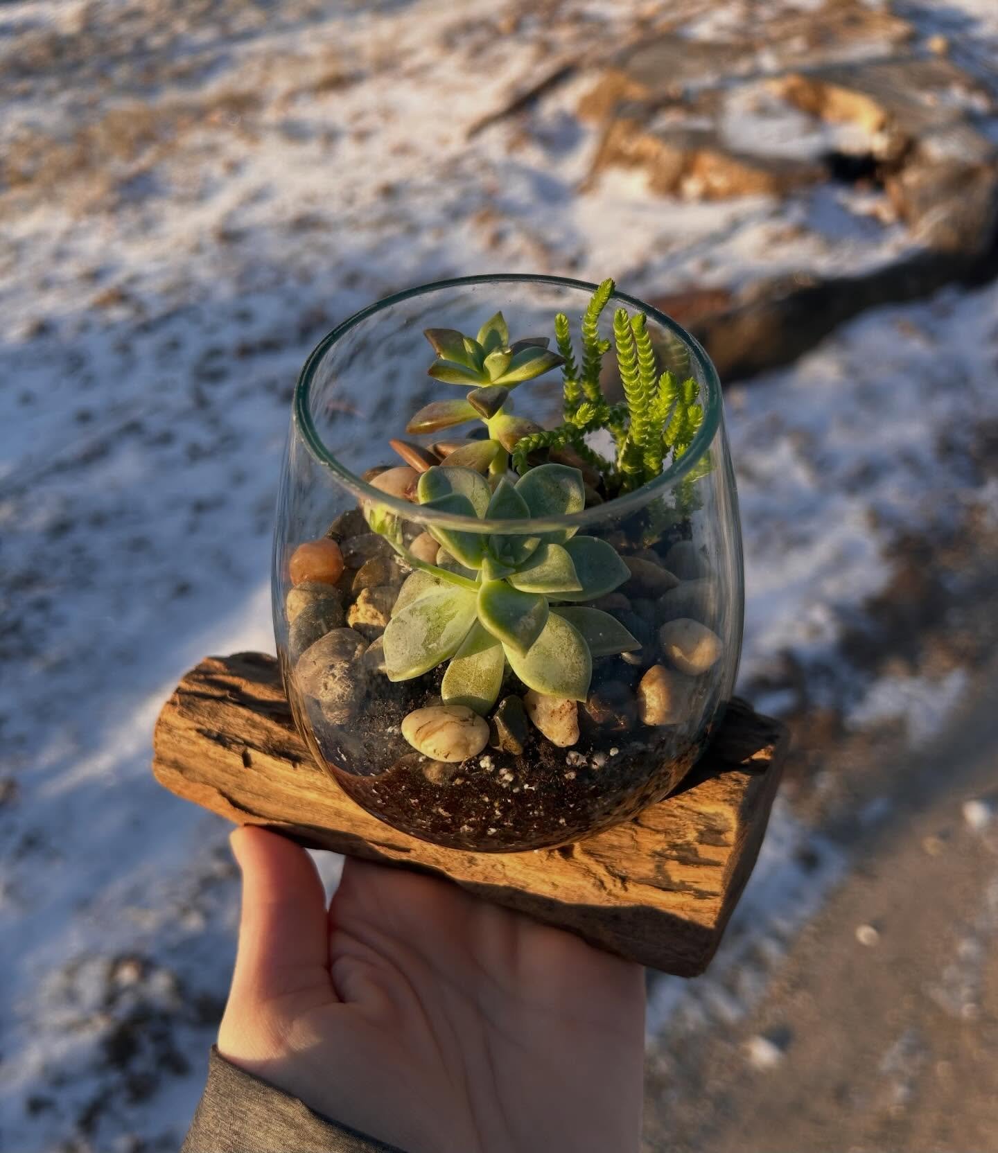 Just last week I was chatting with a friend about losing her father and how awful it was for her to watch all of the gifted flowers wither away after the fact.

Fast forward to today - I am delivering this sweet terrarium to help in celebrating a lif