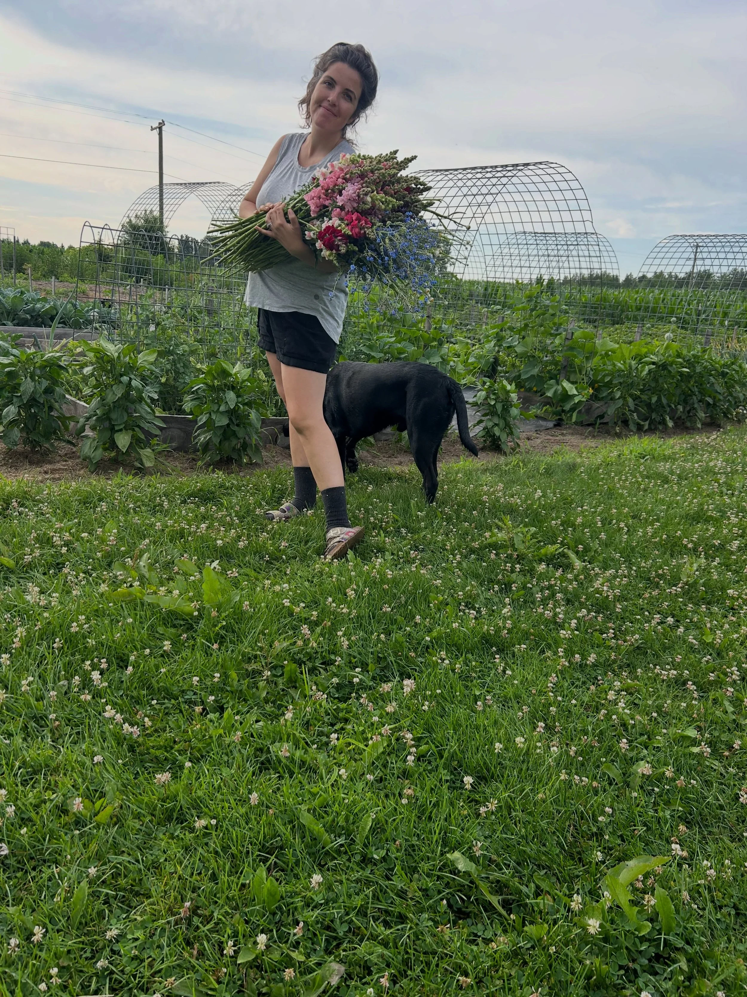 A quick morning harvest with my daughter/budding photographer featuring my headless dog and a vegetable garden that doesn&rsquo;t suck. 

No time for content creation over here. Obviously no time for fashion either. 👸