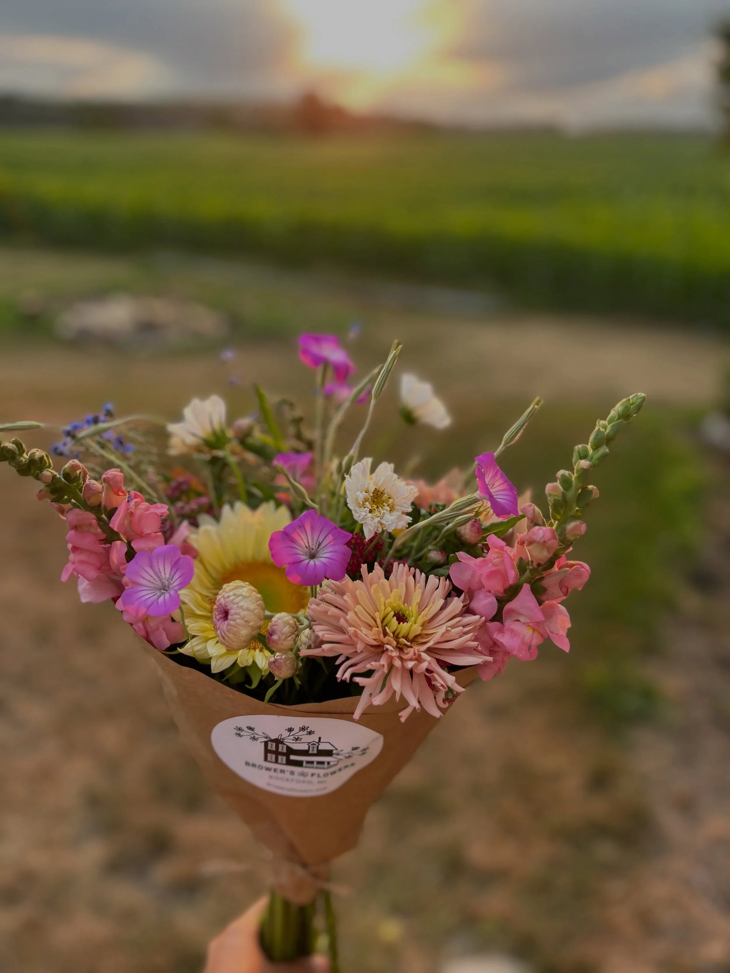 Harvested fresh last night. 

Arranged for you this morning.

Flower magic forever ✨

See you at the stand?