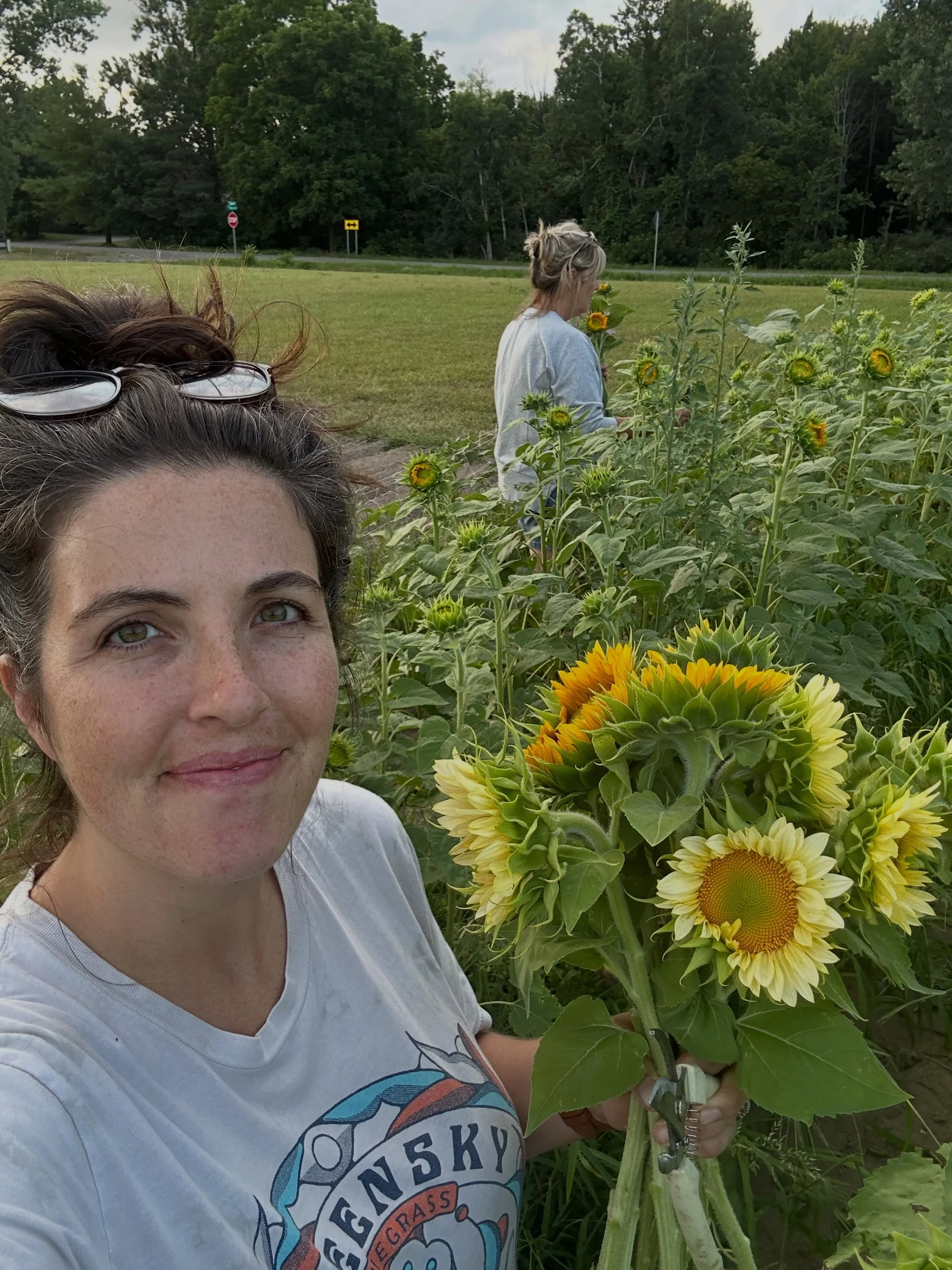 Back in the day I swore I would never move back home.

I still dream of what our life would look like somewhere else. Somewhere more secluded, a smaller town, more land.

Then I think about nightly walks with my mom, yapping in the Sunflowers, owning