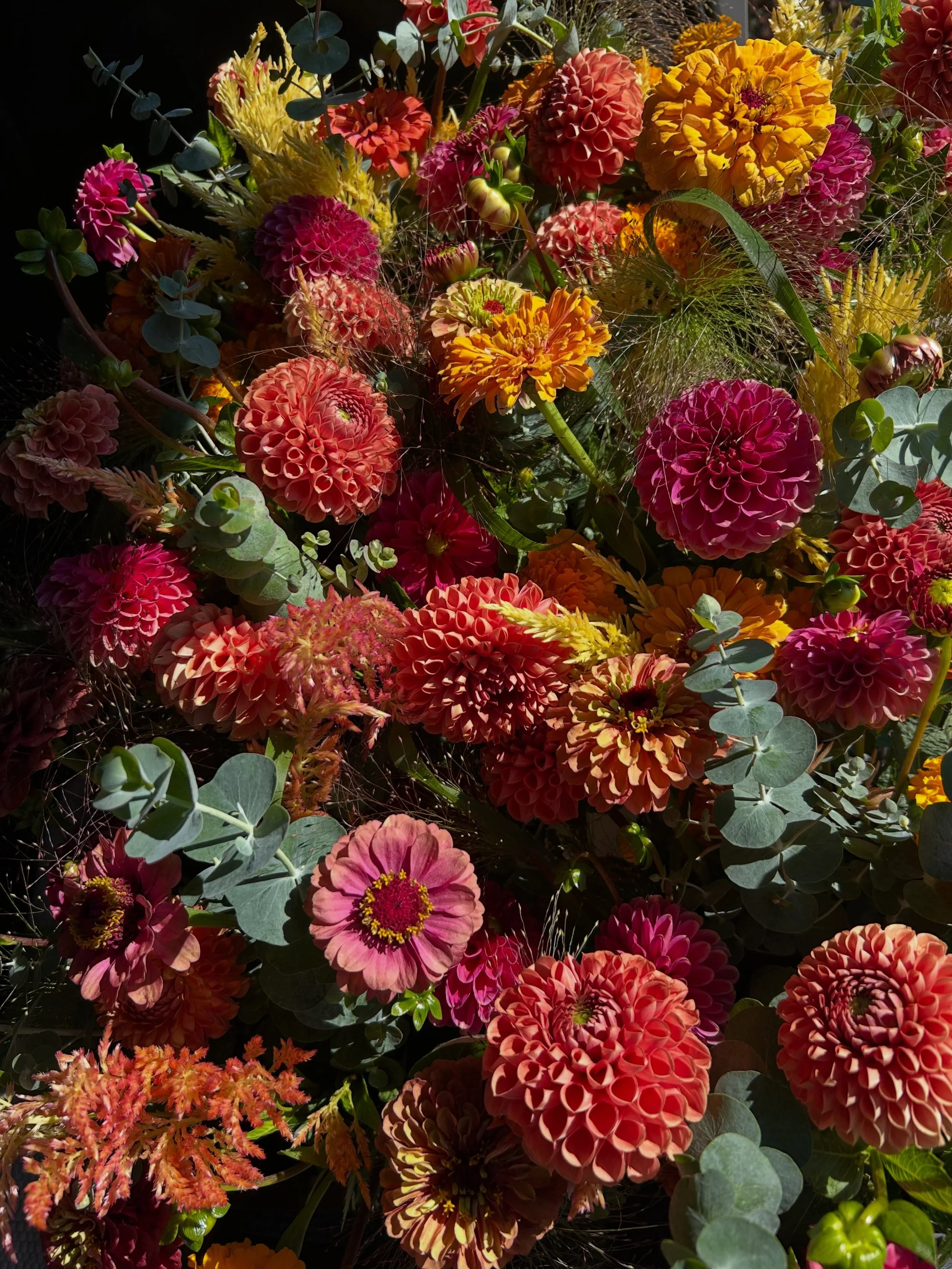 A week filled with flowering for you. Birthdays, get well arrangements, homecoming, thinking of you.

Flowers really are so dang special and I love that I am the one you go to when you want to share a little bit of flower magic with the people you lo