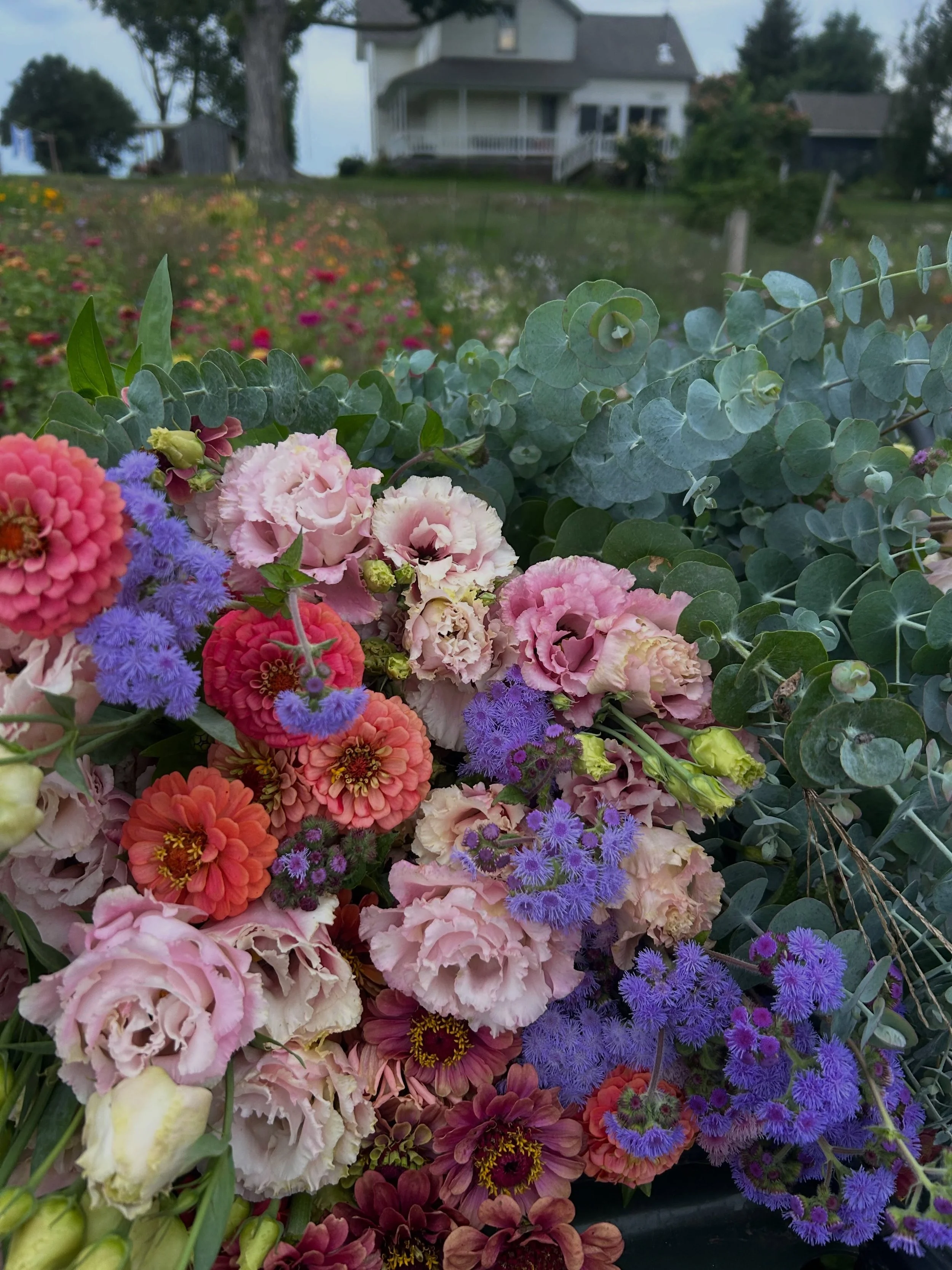The garden is winding down but my calendar is filling up and for that I am so dang grateful.

A couple of things to note this week:

🌸 Homecoming Orders - I&rsquo;ll be taking orders until Tuesday evening. Send me an email if you still need bouts, c
