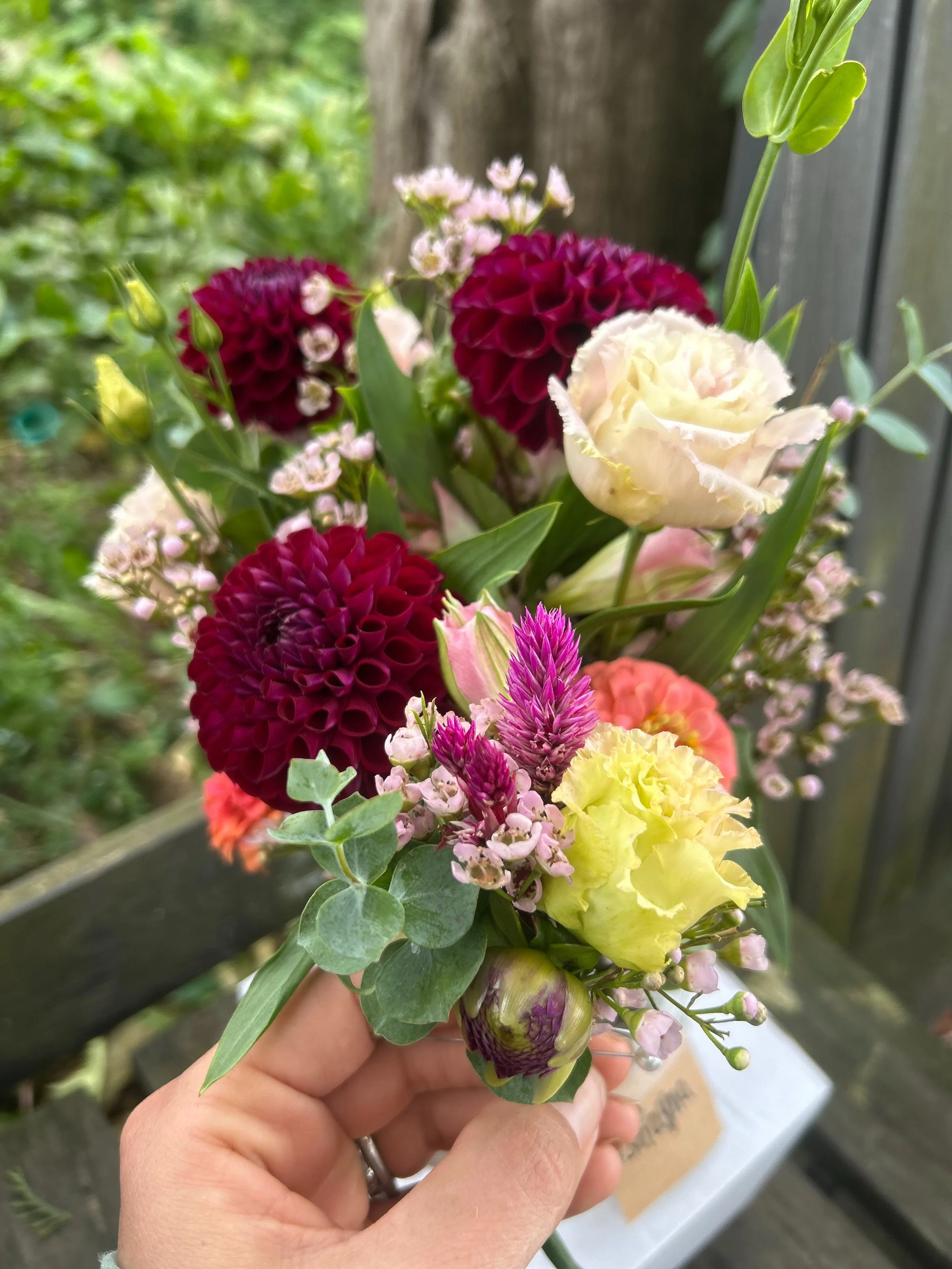 Homecoming Flowers ✨

It was so fun making these for you and reminiscing about my days going to Rockfords homecoming which couldn&rsquo;t  possibly have been 15+ years ago? 😅

All of your orders will be on the farm stand by 9am. Everything will be c