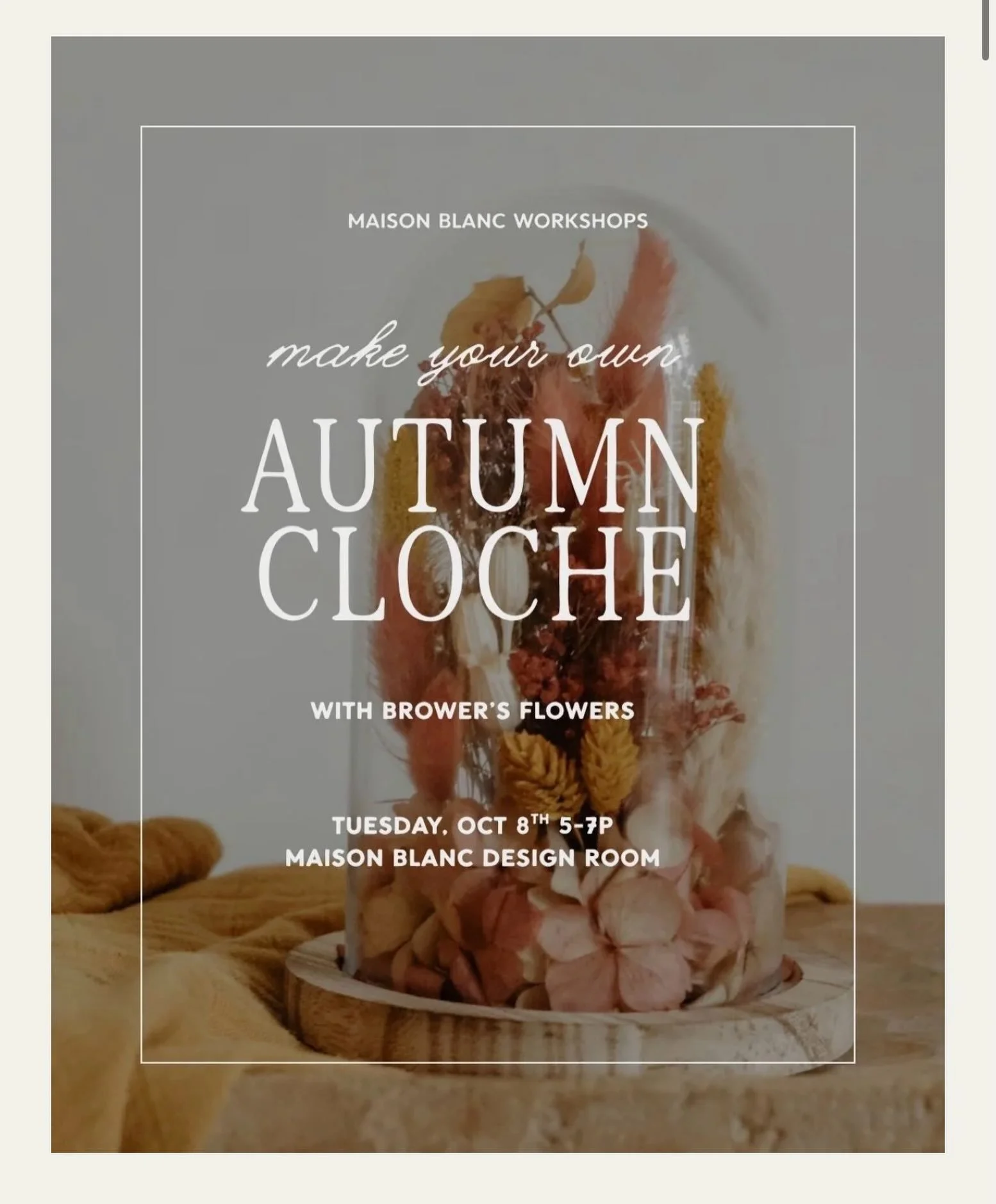 As the garden winds down I am so excited for workshop season to ramp up.

First up : Autumn Dried Floral Cloche

I&rsquo;ll provide everything you need to create a little bit of seasonal dried flower magic inside of a sweet glass cloche.

Space is li