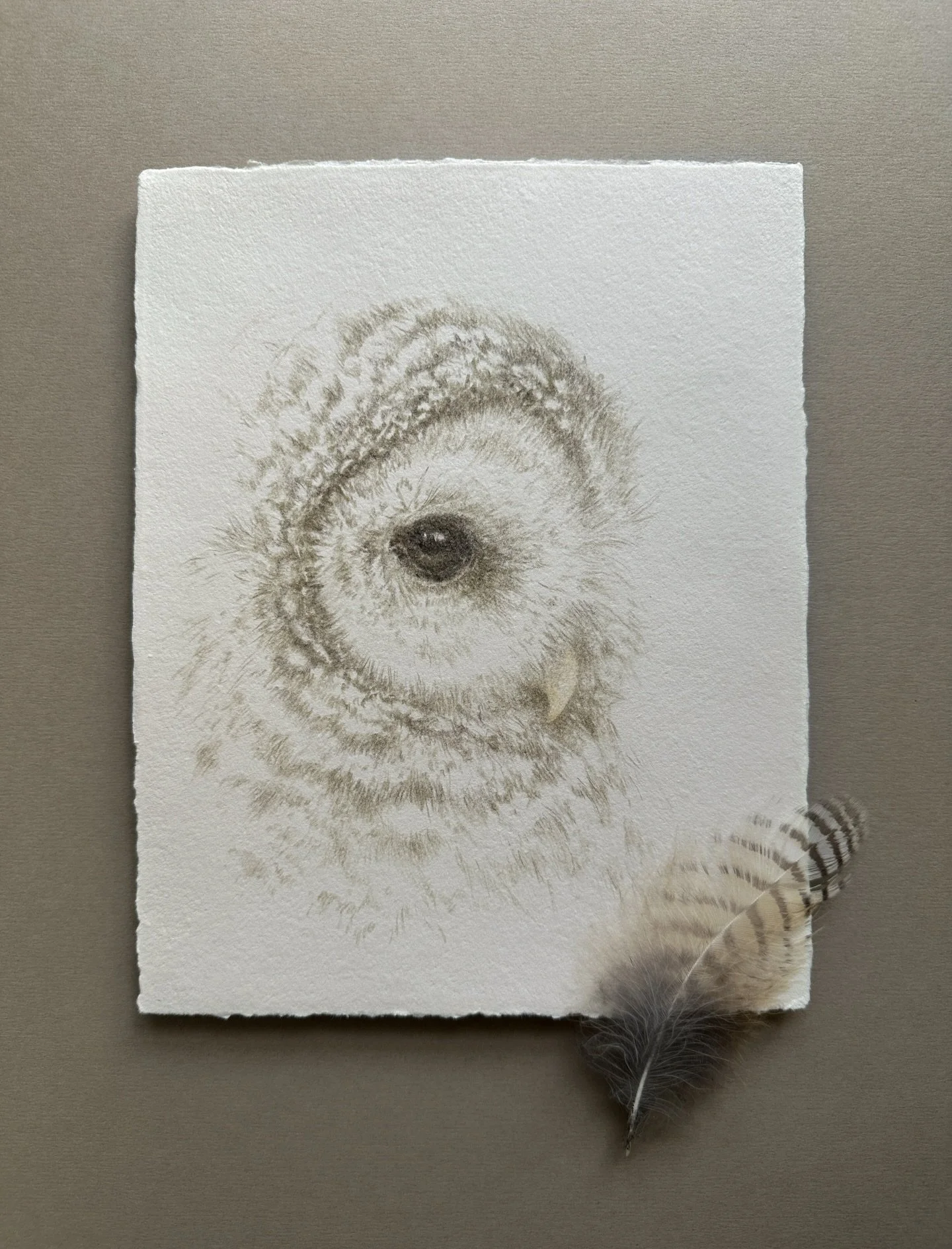 Everything begins with the gaze.