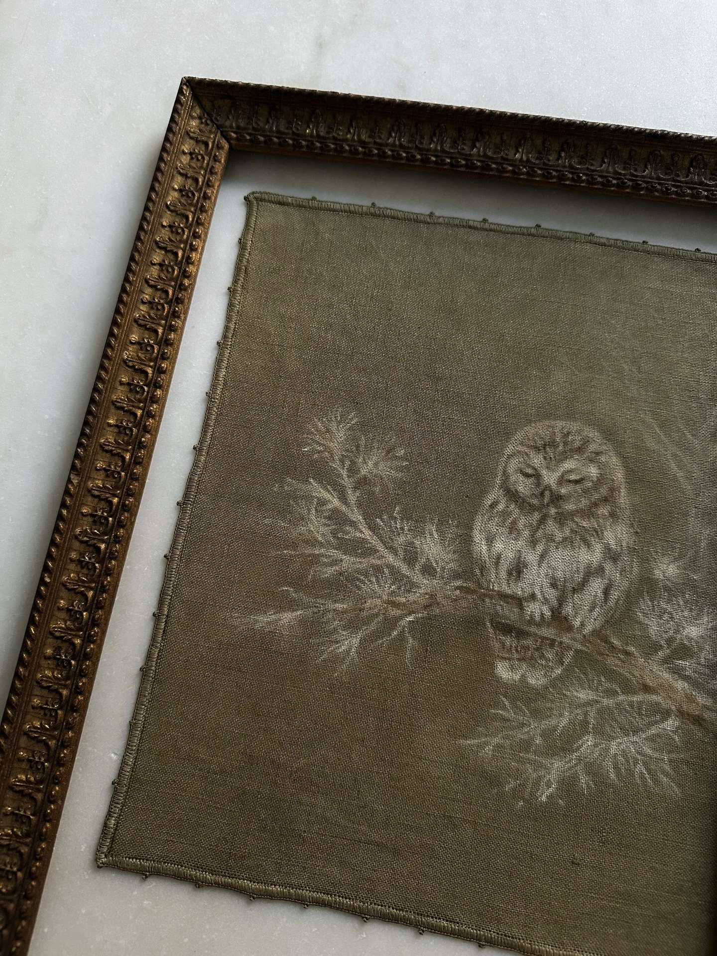 A Northern Saw-whet Owl. It&rsquo;s been fascinating learning about how many owl species pass through our area, most of them unseen. Understanding their habits and their calls. The way they move through the landscape. That curiosity led to a visit to