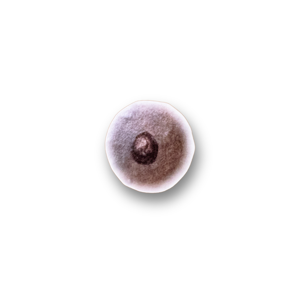 9.png