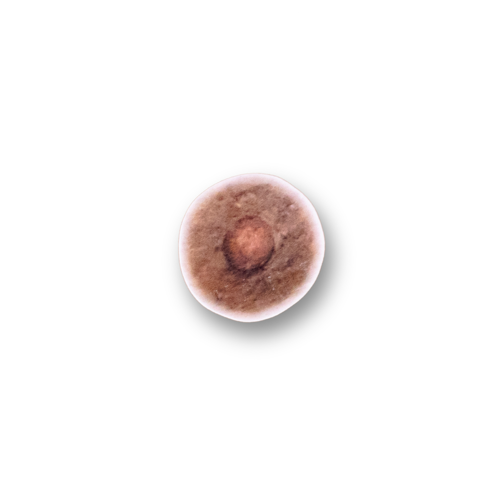 24.png