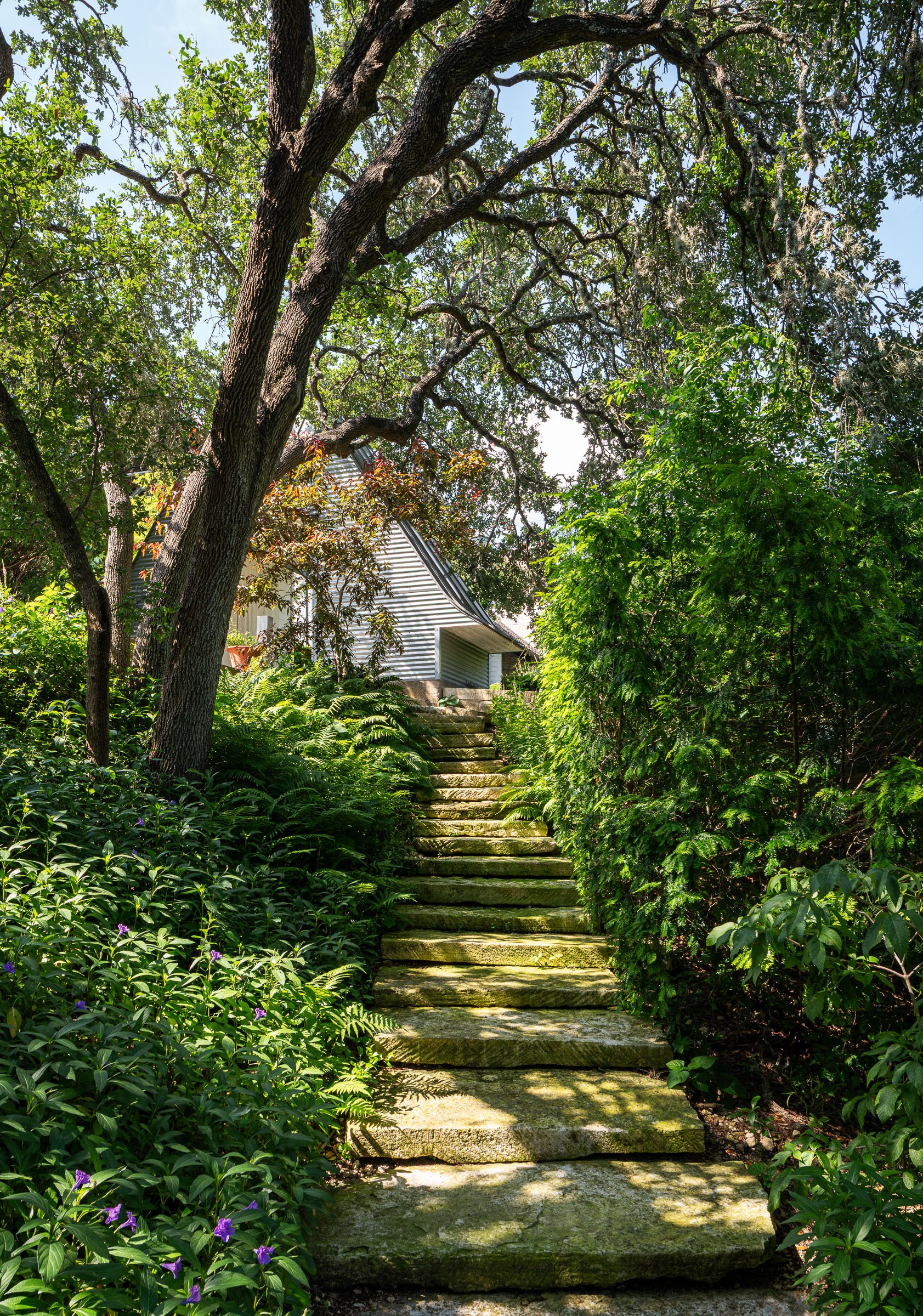 Sugar Creek
Mell Lawrence Architects 7  /  18