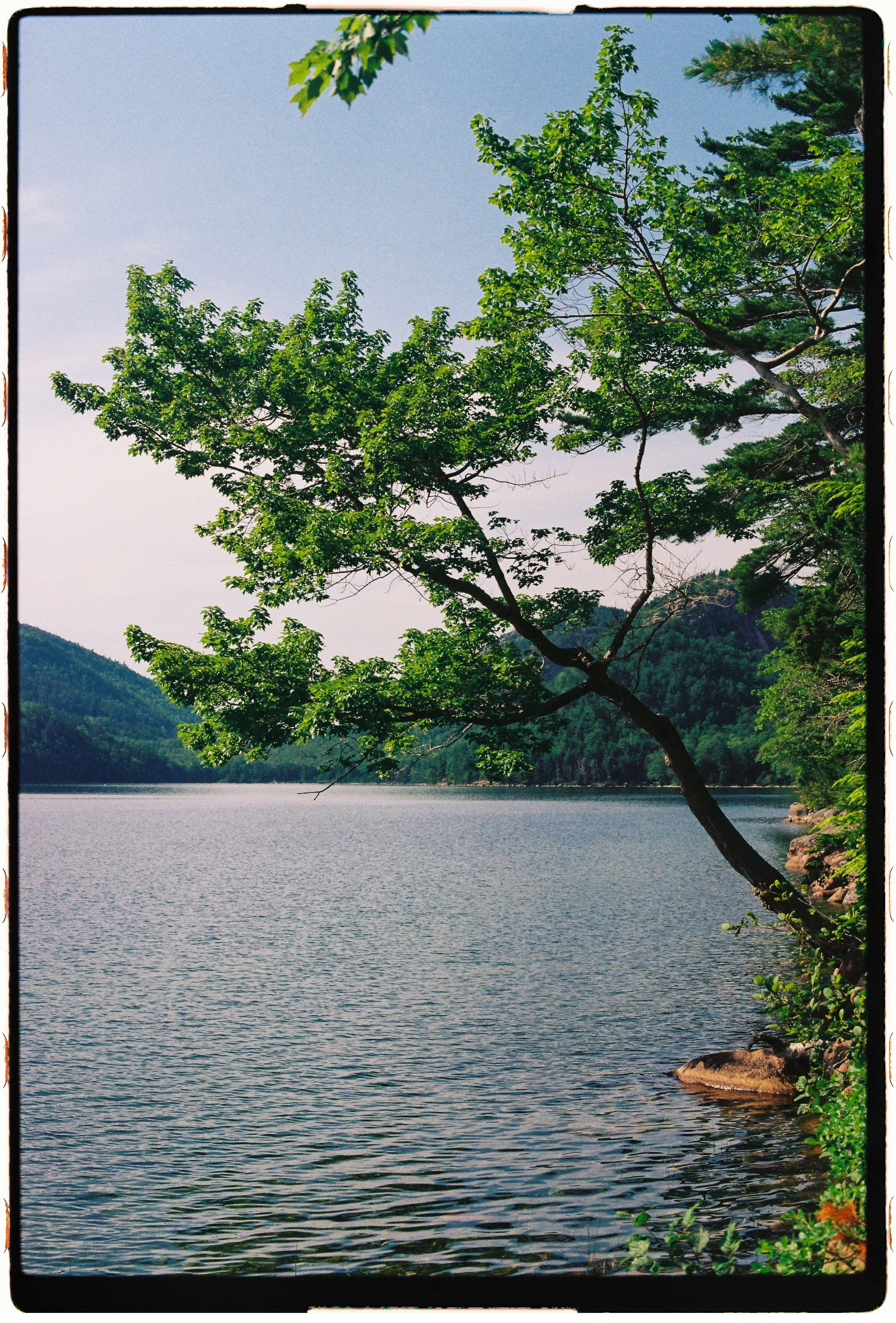 000050-6.jpg