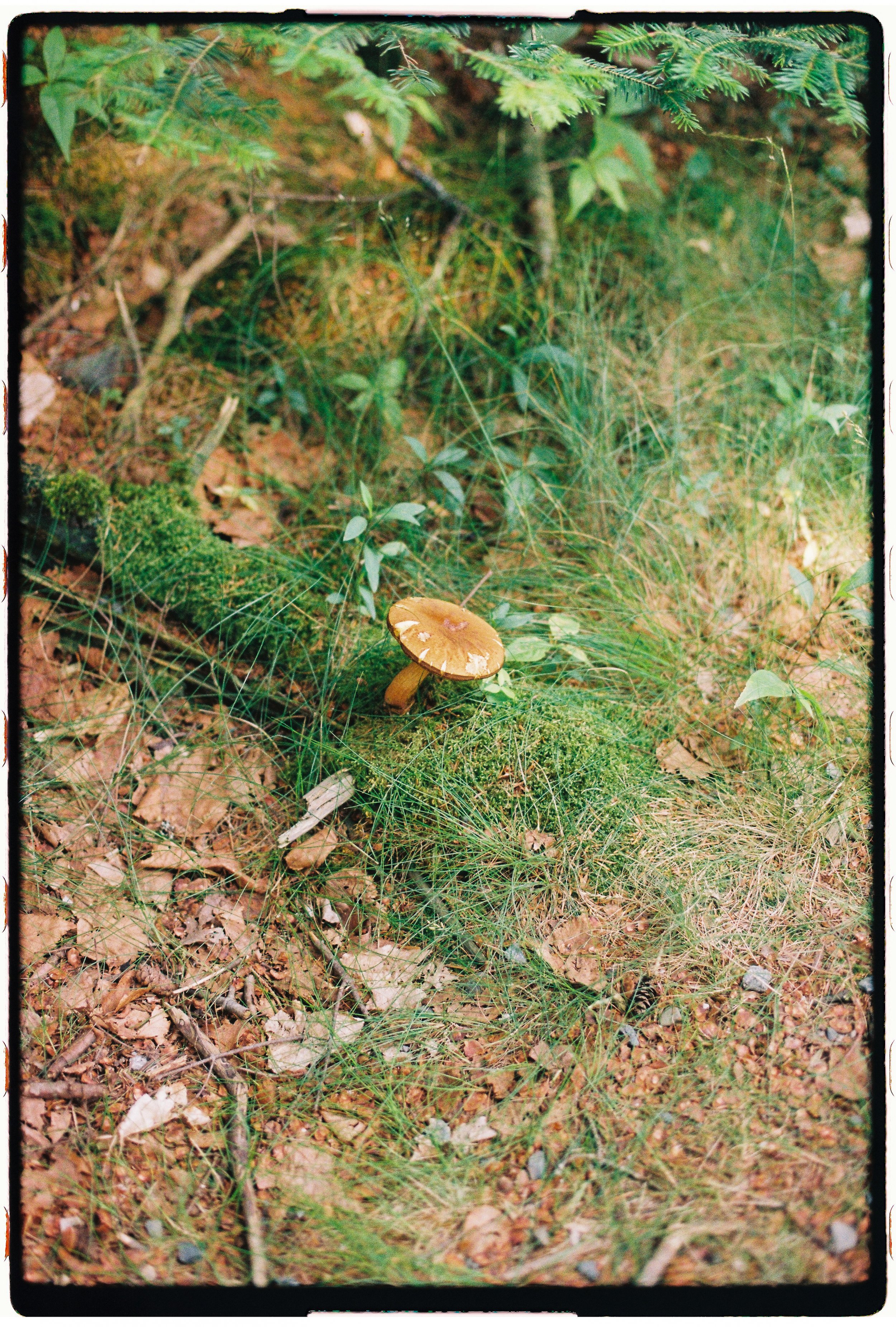 000062-5.jpg