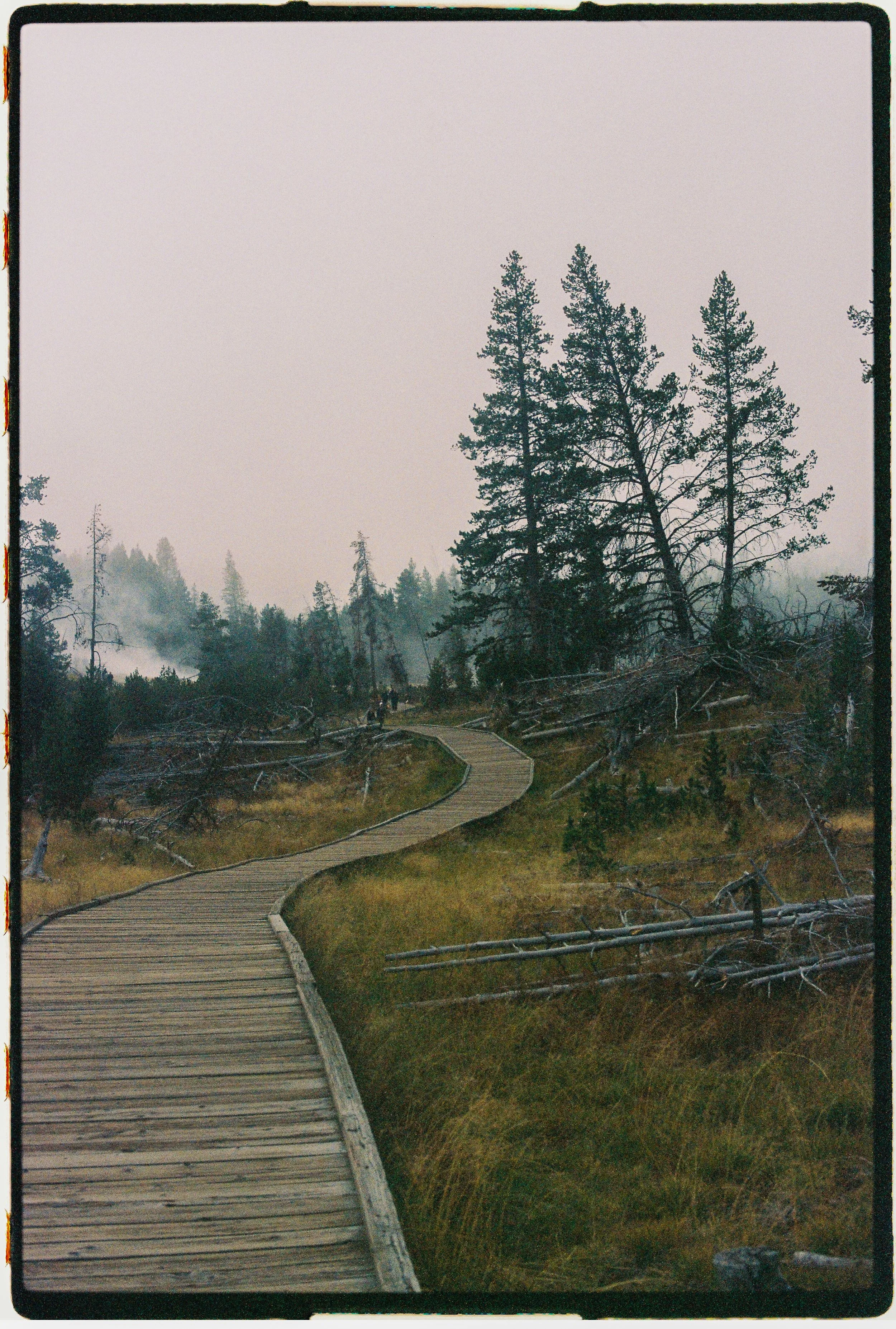 000042-4.jpg