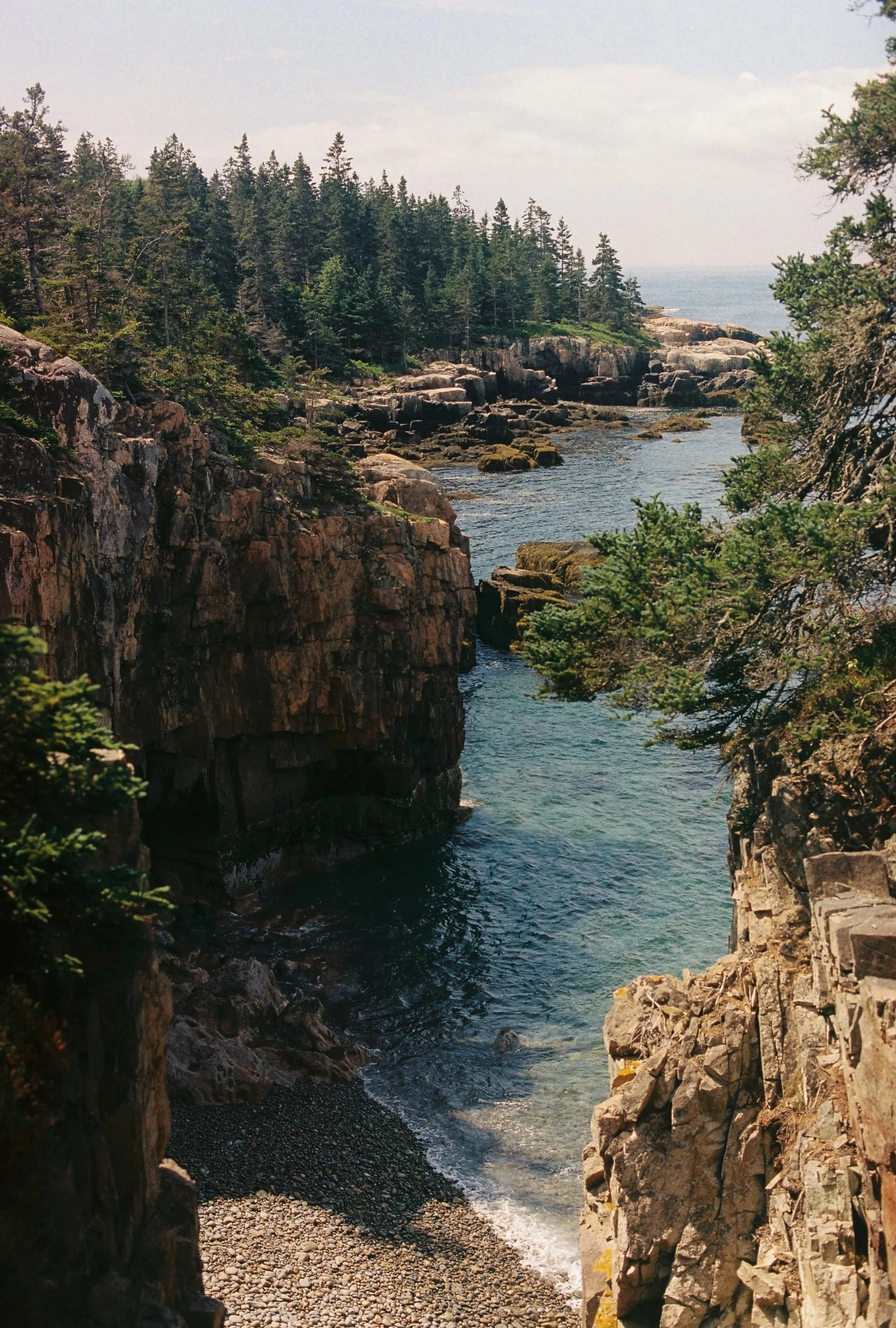 Acadia National Park On Film