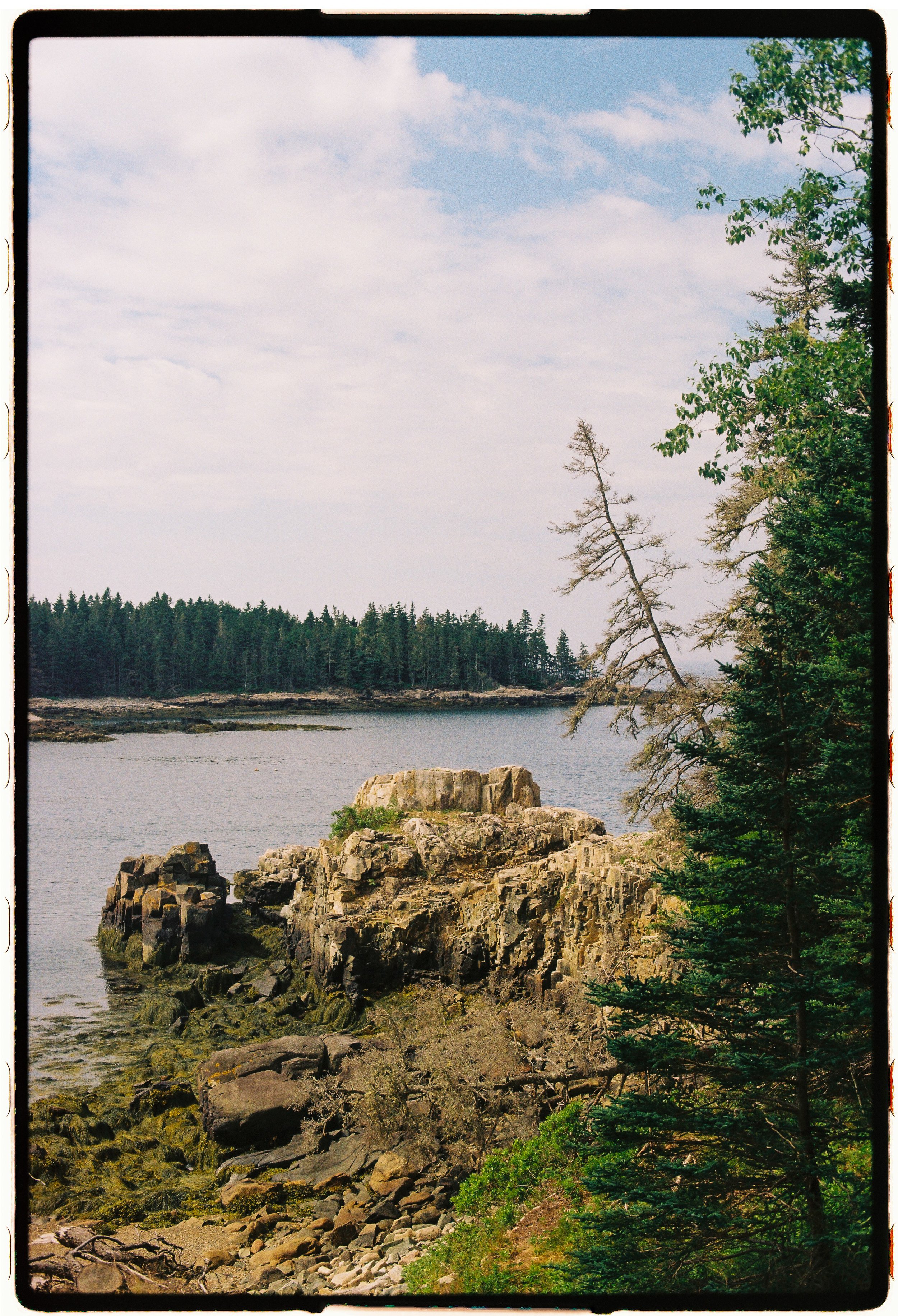000048-4.jpg