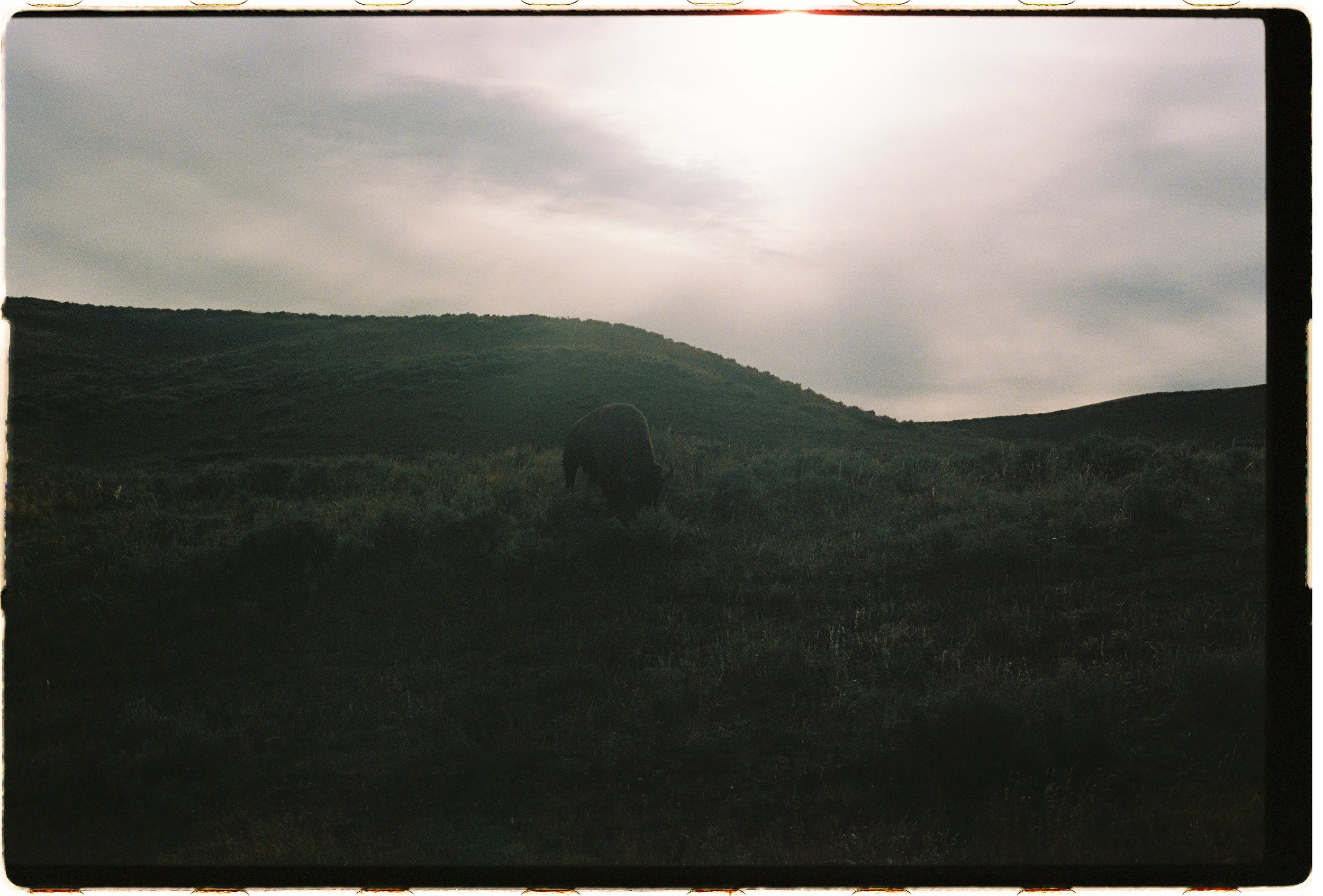 000051-2.jpg