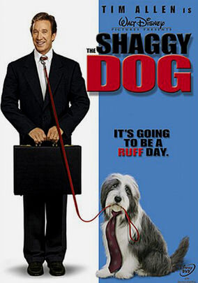 Shaggy Dog 2.jpg