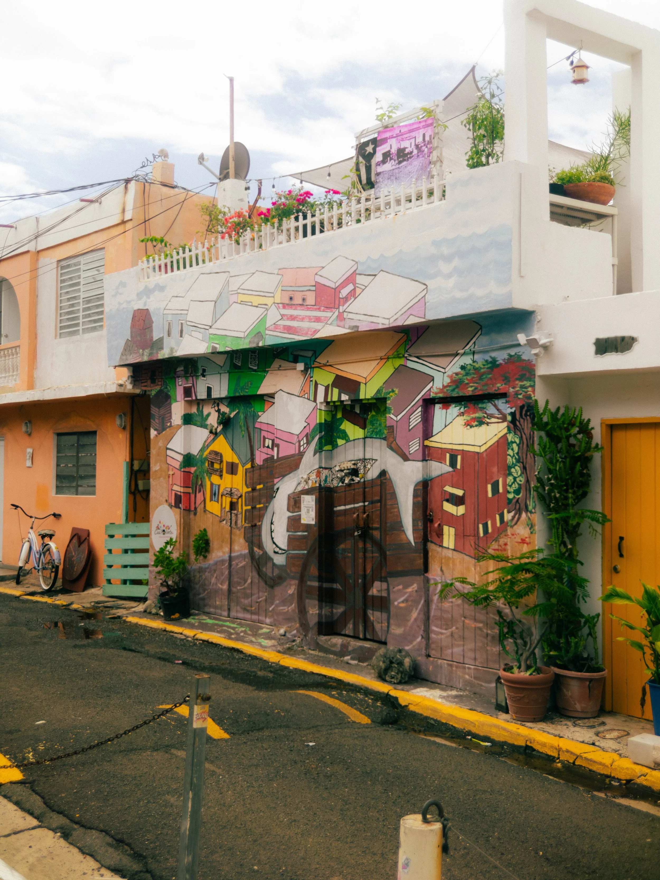 Puerto Rico - 2026 (UE) - 73 of 78-VSCO.jpg
