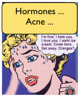 image1-2.png