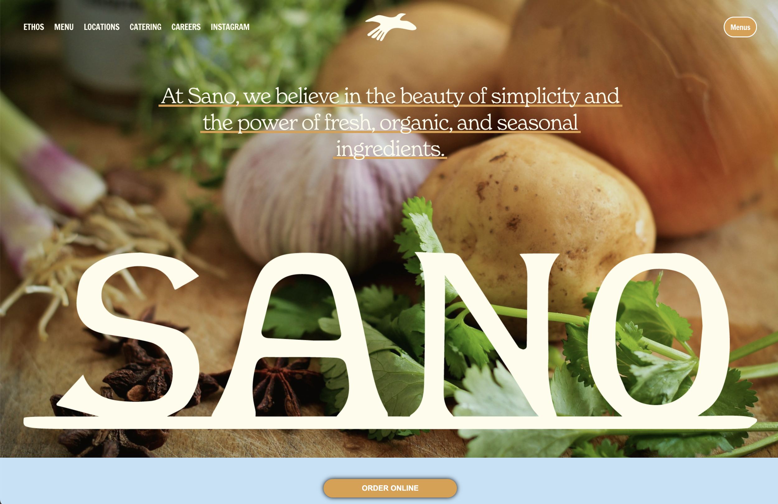 Sano Website.png