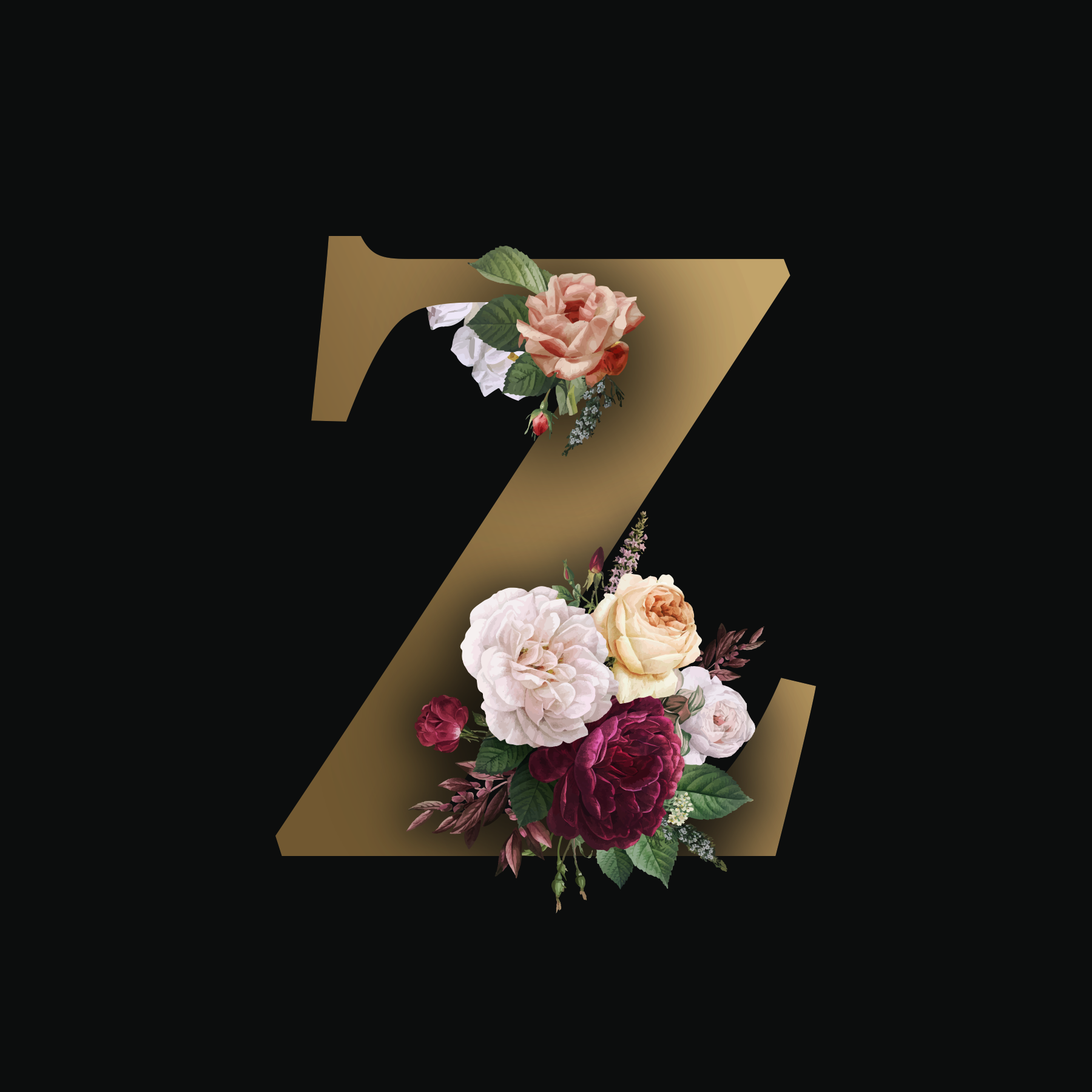 z4.png