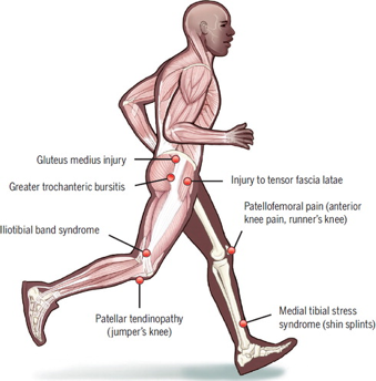 Blog 2 — The Injury Rehab Centre