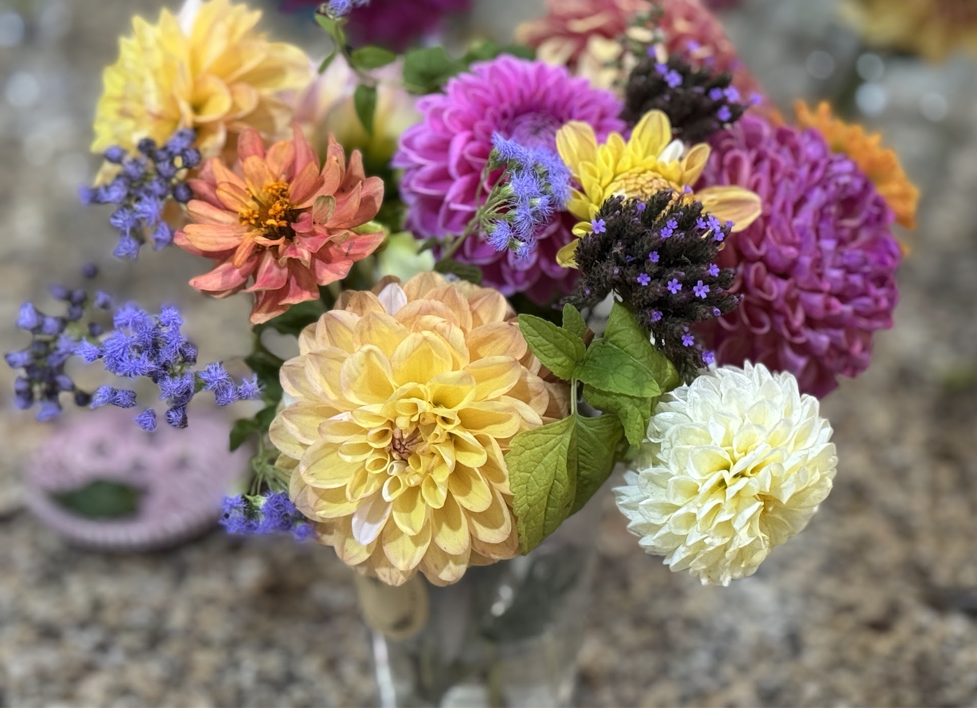 Screenshot 2025-12-05 at 2.53.06 PM.png