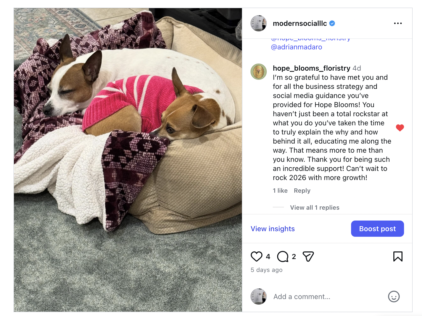 Screenshot 2025-12-22 at 3.51.17 PM.png