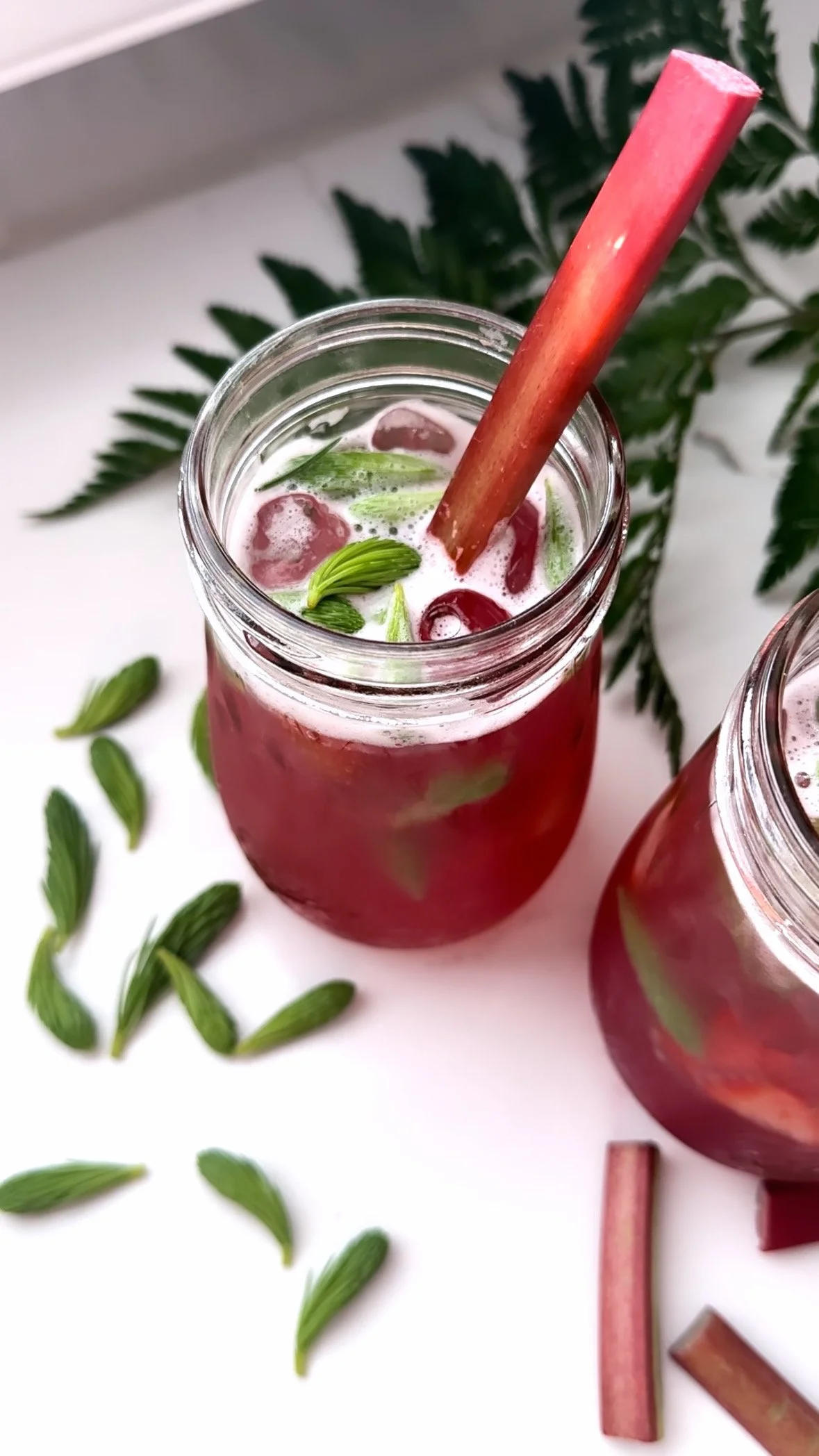 Spruce Tip &amp; Rhubarb Springtime Mocktail 