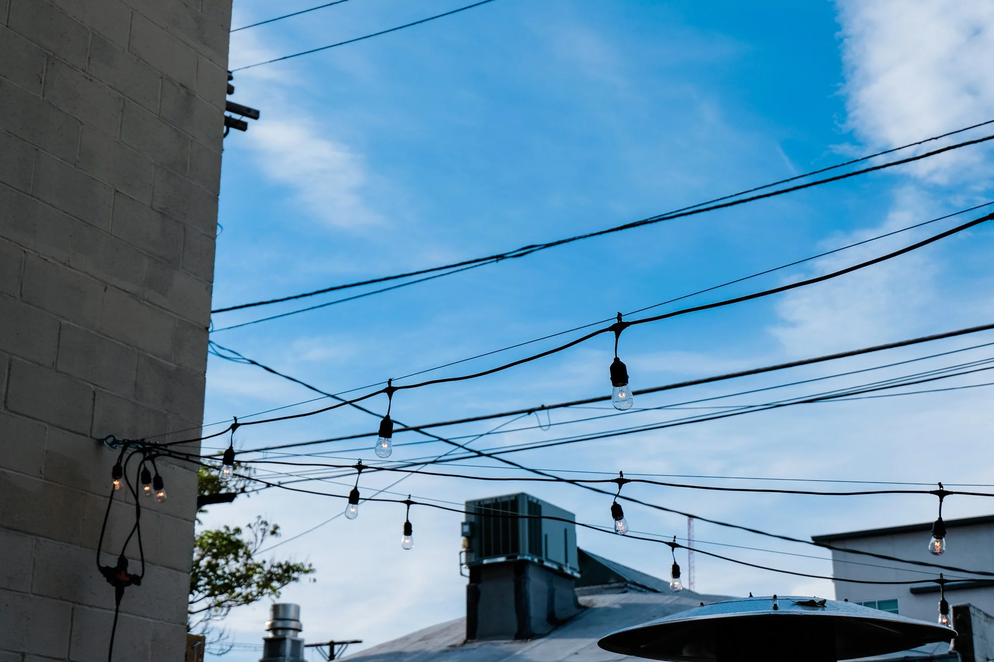 DSCF9247.jpg
