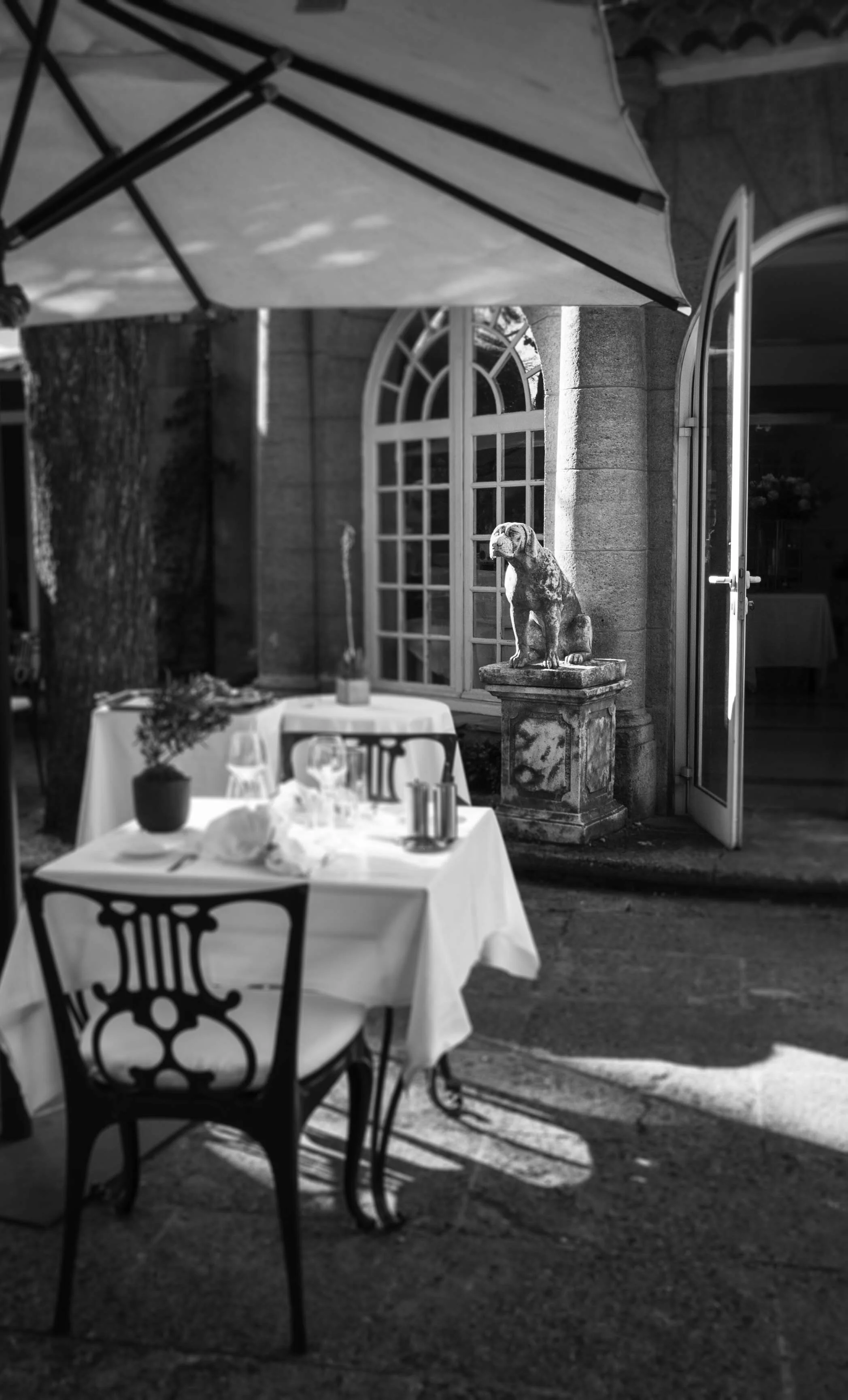 France, Aix-en-Provence, watch dog