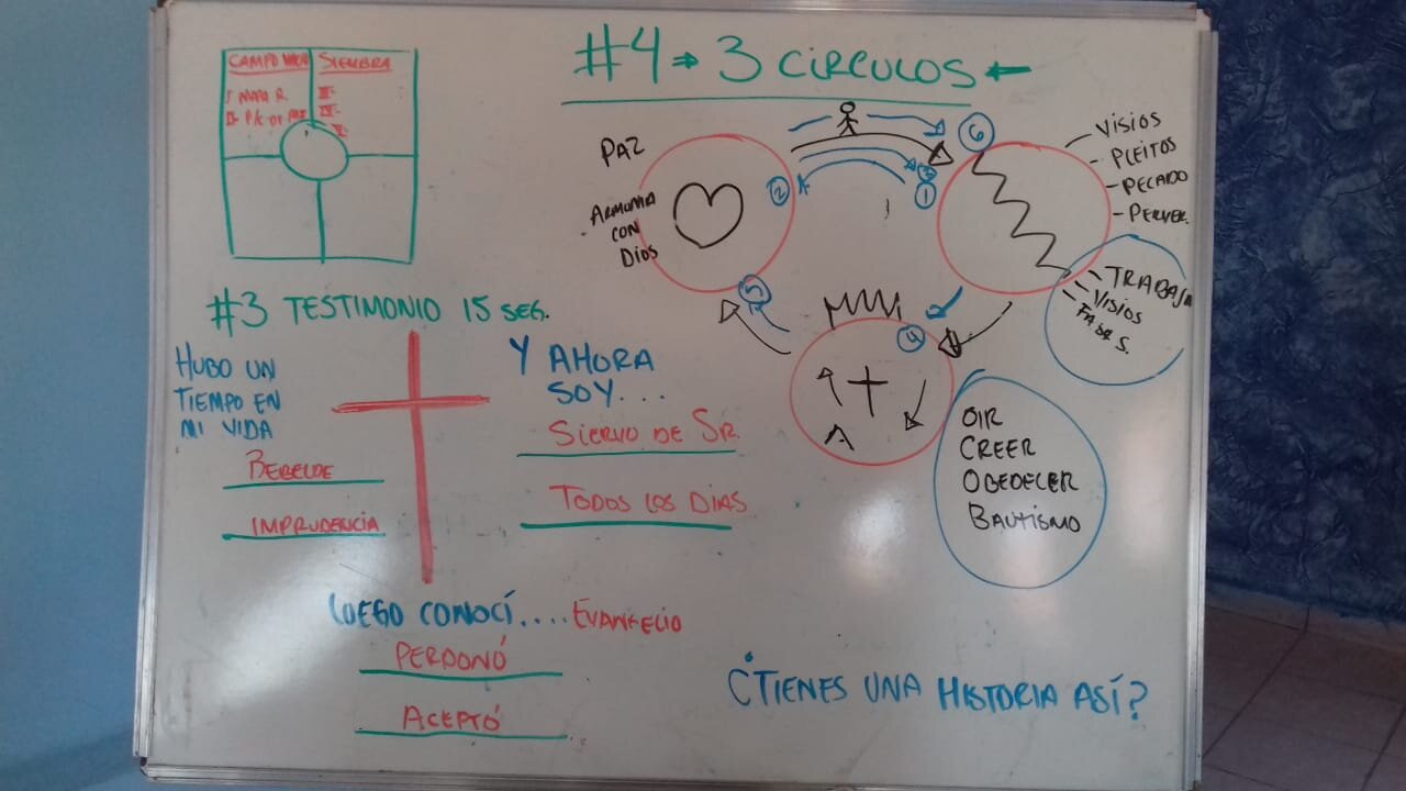 THE 4 FIELDS OF APOLOGY MULTIPLICATION WORKOUT.