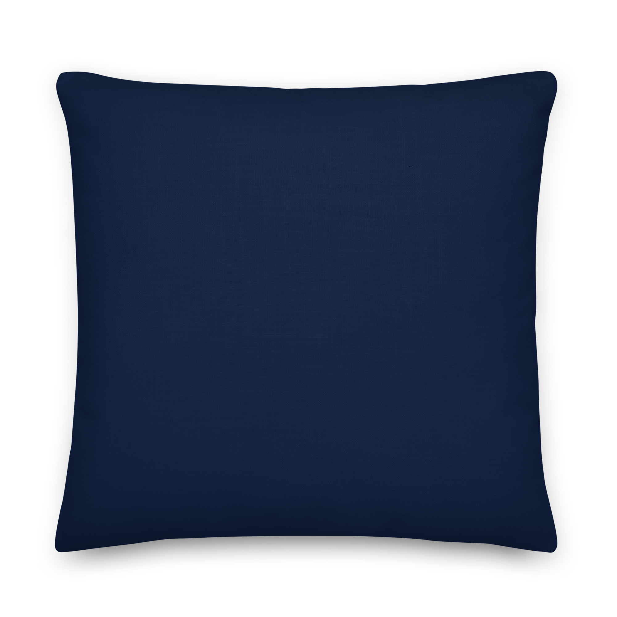 all-over-print-premium-pillow-22x22-back-632fb11ee62b4.png