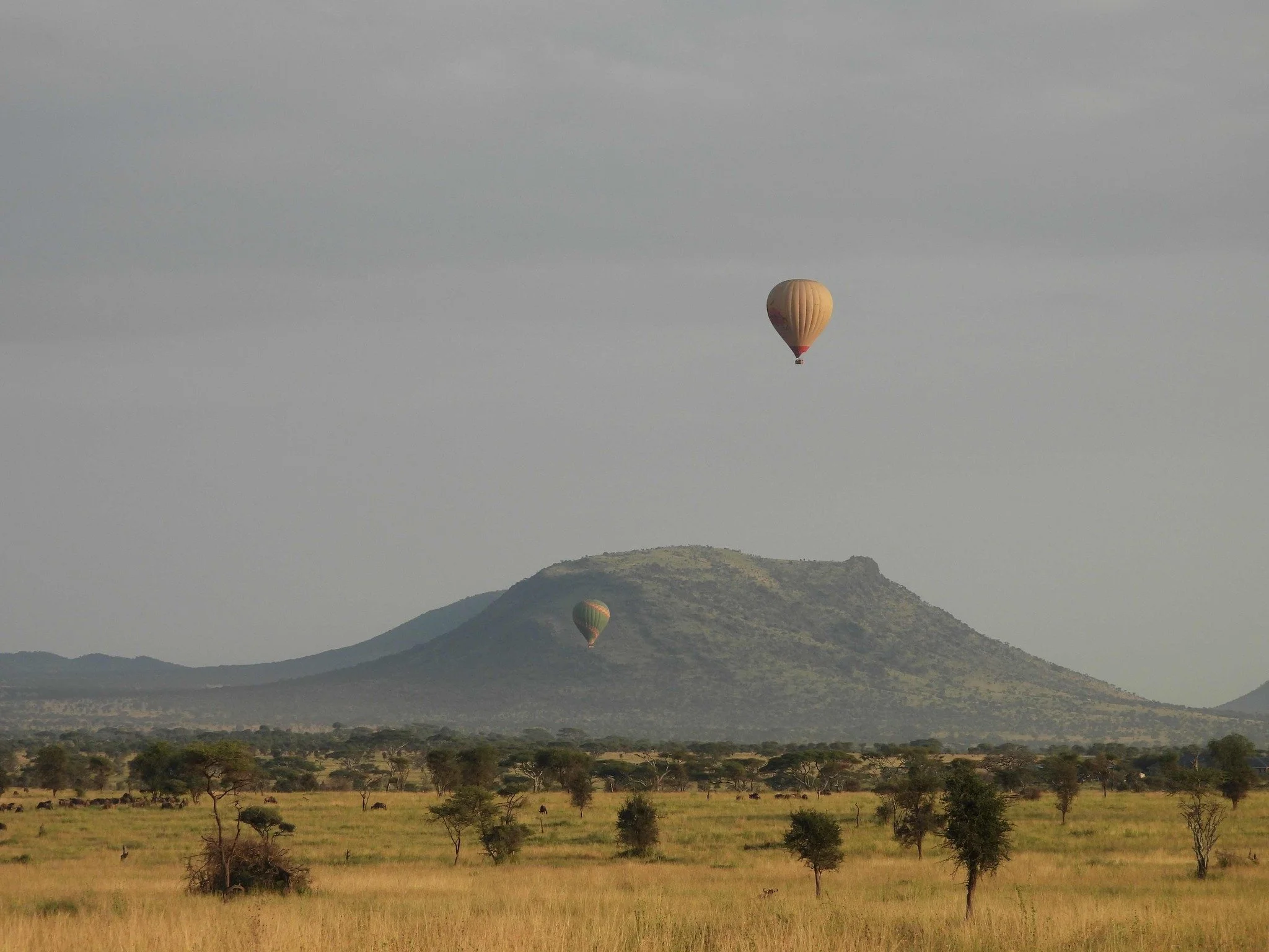 Hot Air Balloon Tanzania.jpg
