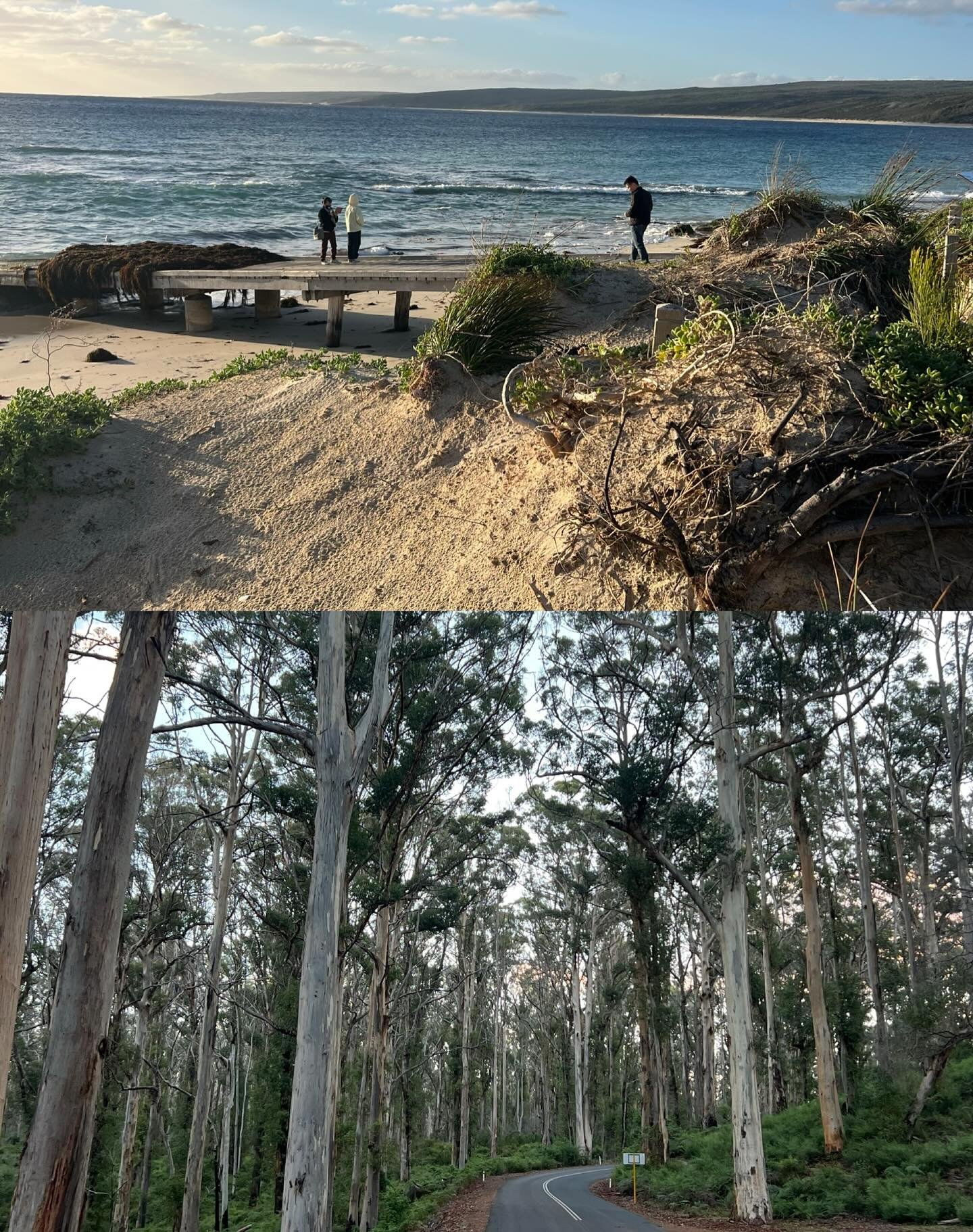 #winterdownsouth is the perfect time to get out amongst nature. Rug up &amp; enjoy the fresh air, cool forests &amp; brisk walks 🍂