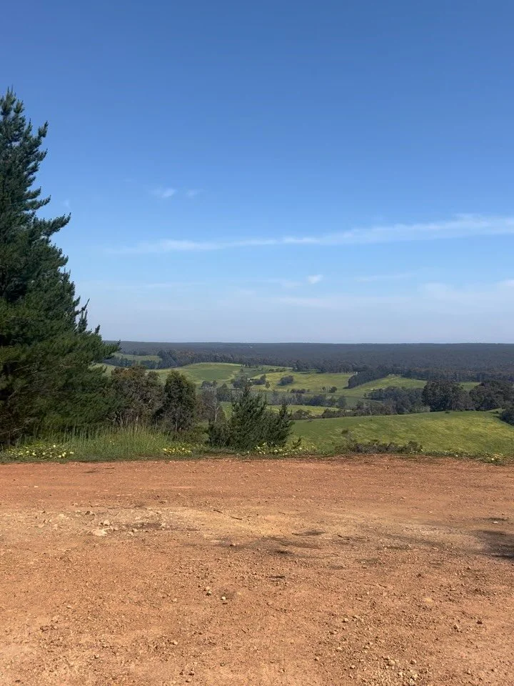 An incredible spot for a special picnic celebration - with views to the distant ocean. Picnic season is here. #picnictime #picnicvibes #fulldaytour #southwestwa #foragesafaris