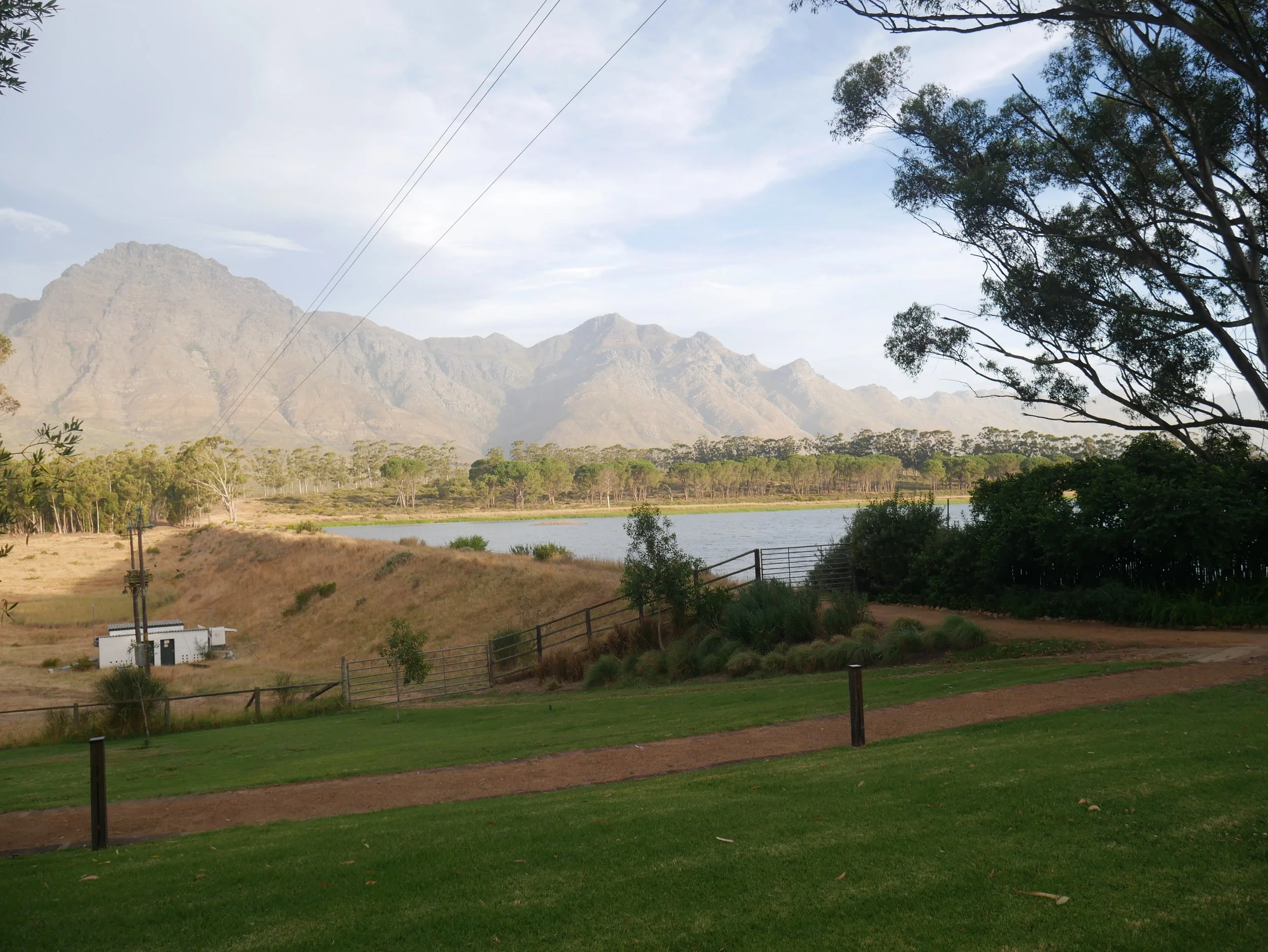 Exploring Agritourism in Cape Town, South Africa 