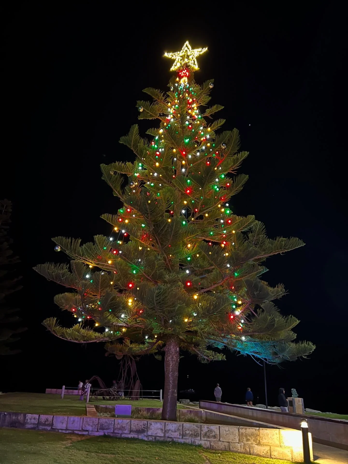 The festive season is here ✨ Thank you for sharing the year with us while enjoying good food, wine and a deeper connection to the land. Here&rsquo;s to more delicious adventures next year 🍷(image Busselton&rsquo;s Christmas tree)
#christmasdownunder