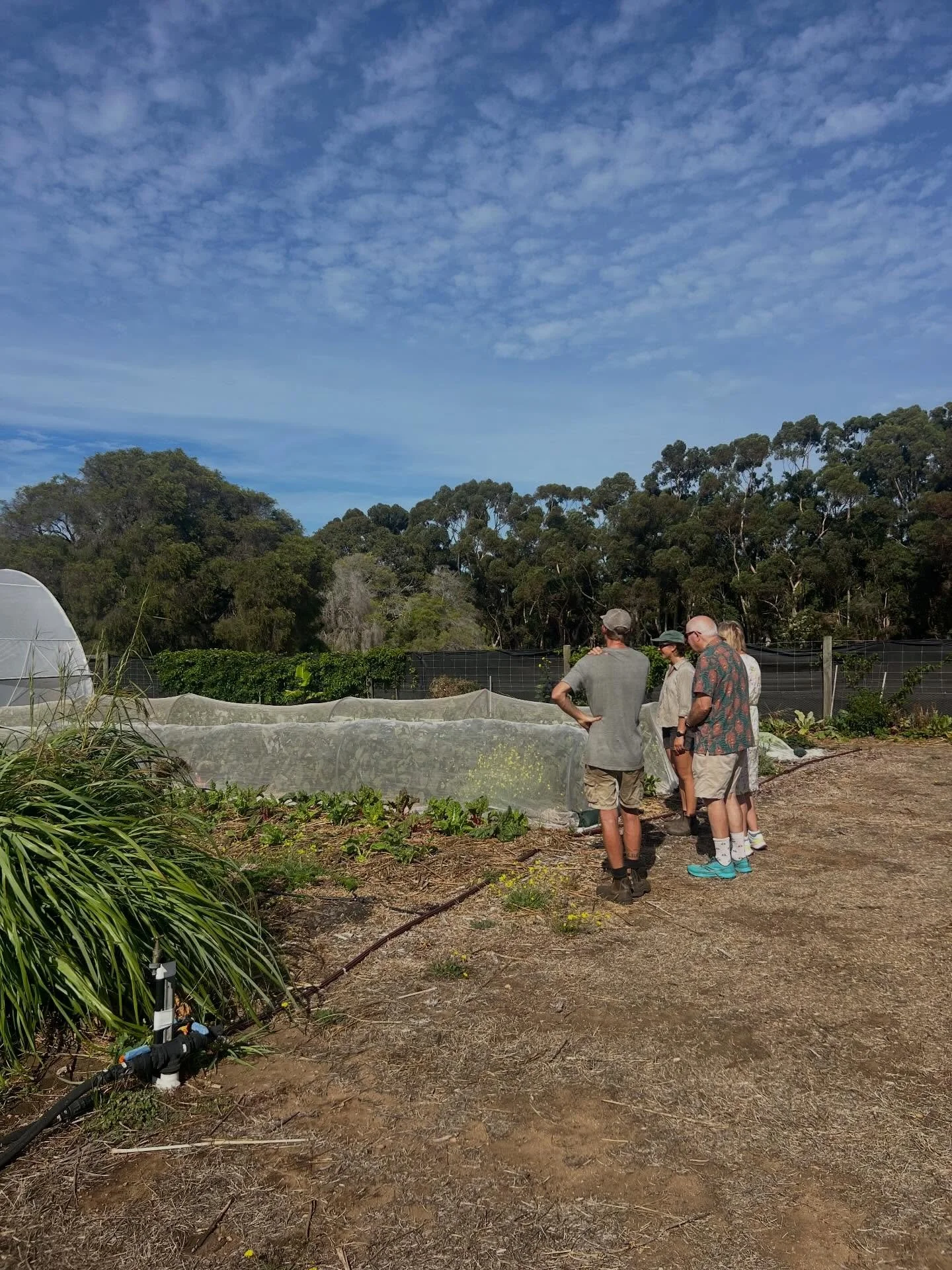It&rsquo;s a beautiful time to be exploring market gardens - learning about what&rsquo;s in season to enjoy now, &amp; what is being planted ready for winter feasts. Seasonal eating at its best. 🥬🥕#seasonalproduce #westisbest #margaretriverfood #th