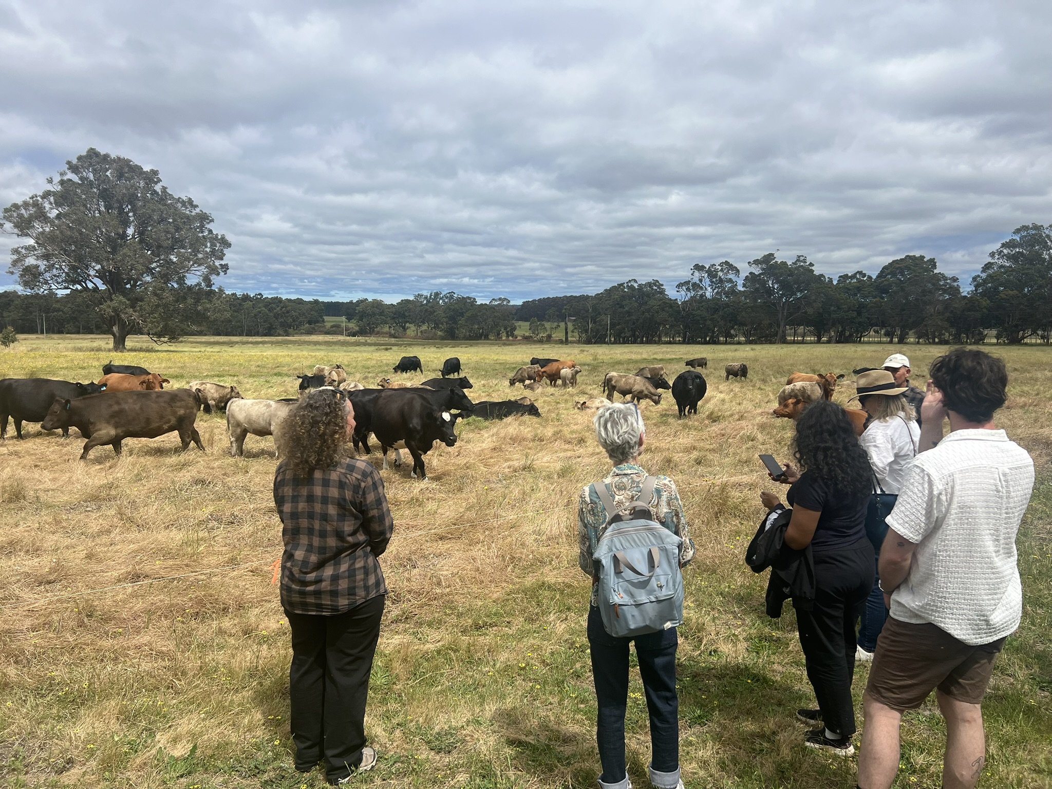 Meet the Farmers who open their gates - Lawson &amp; Laura’s regenerative story