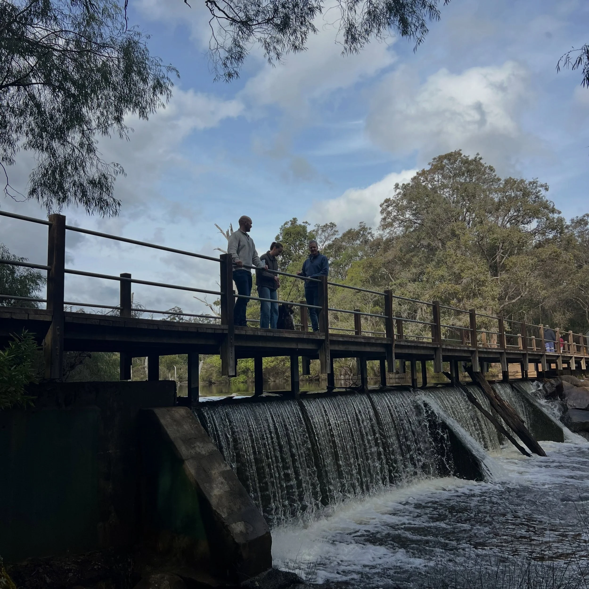 #winterdownsouth is such a beautiful time to be out exploring nature with the first signs of spring starting to show. #winterdownunder #walksinthewoods #margaretriver #countrywalks