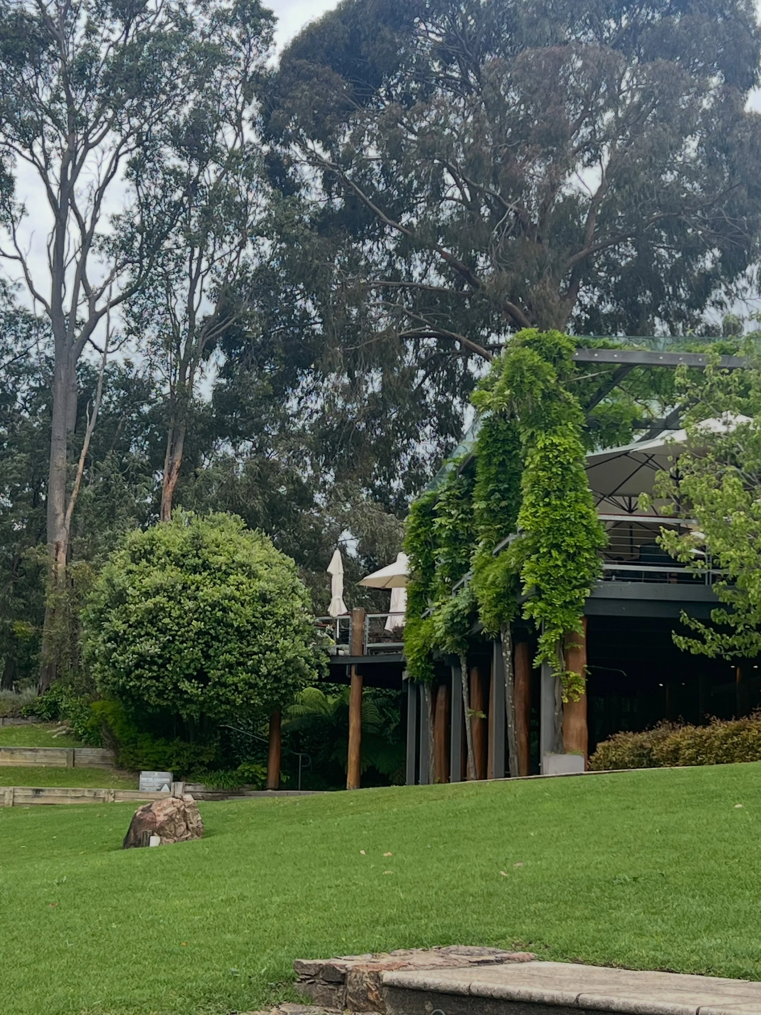 From stunning vineyard settings to exceptional wines and intimate tastings, enjoy a collection of beautiful wine experiences that celebrate the very best of our region.
With Forage Safaris, every private tour is a chance to savour something special. 
