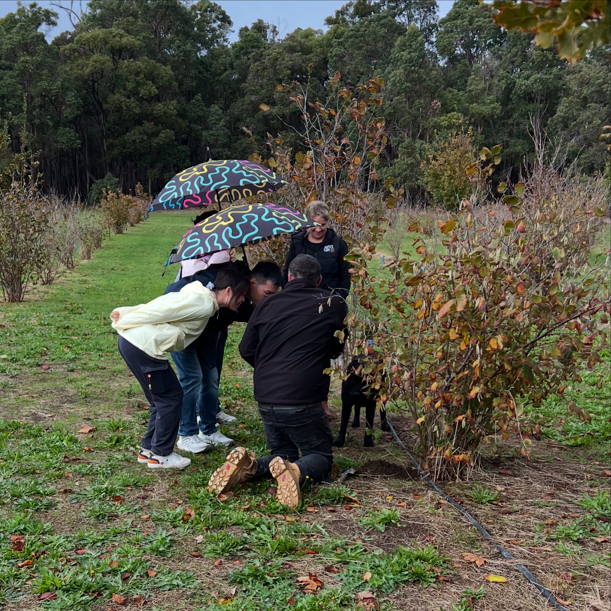 Truffle hunting in Margaret River with Forage Safaris