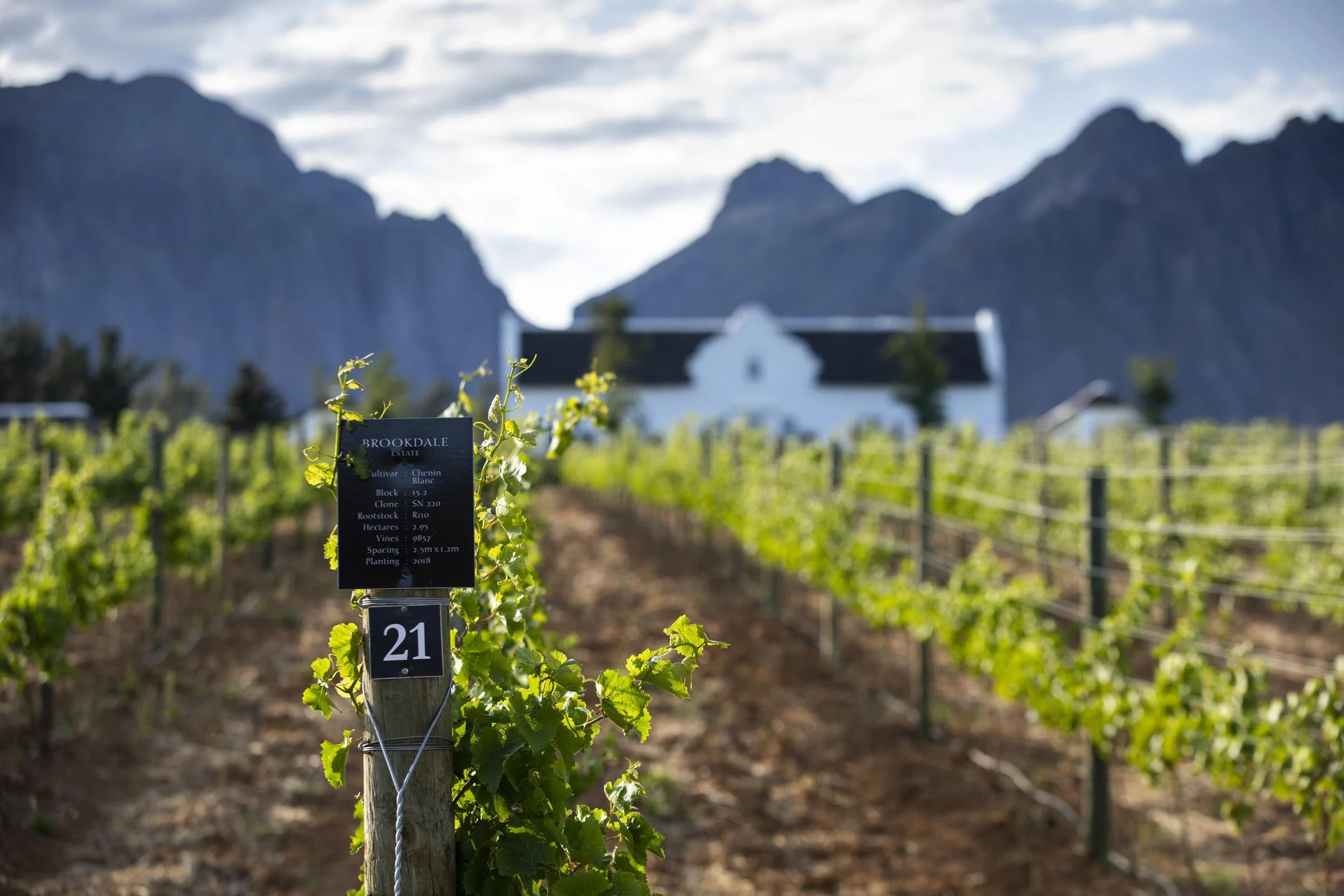 Winery.jpg