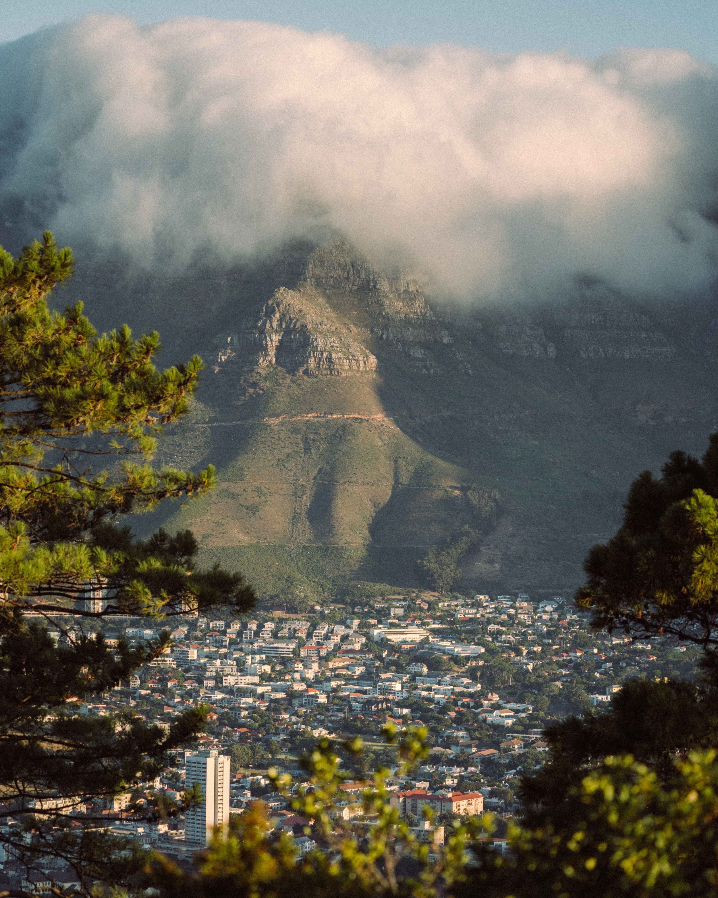 Cape Town views.2.Dylan Alcock.jpg