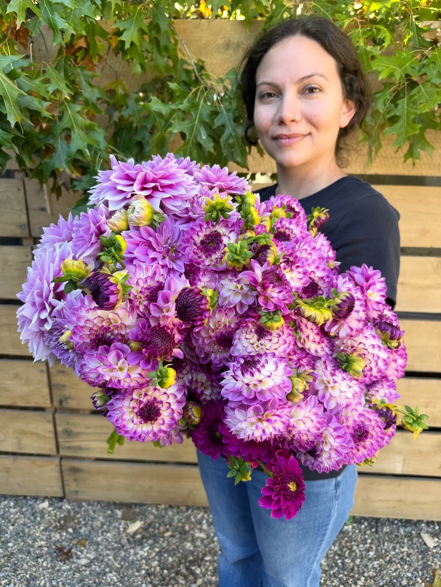 Some of our new favorite dahlias! Including, but not limited to: Seduction and Ferncliff Inspiration 😍 

There&rsquo;s some purple foxes in there. Those aren&rsquo;t new to us, but still a goodie!

#dahlias #freshflowers #flowerfarm #fallflowers #fa