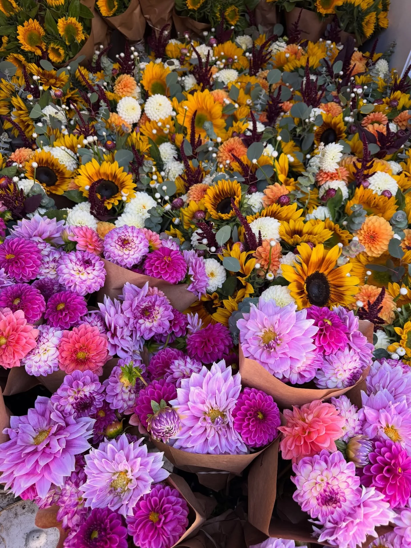This week's blooms, misty mornings, and dahlia production slowing down. Bittersweet feelings about wrapping up our fresh flower season.

#fall #fallflowers #flowers #flowerfarm #dahlias #sunflowers #mixedbouquet