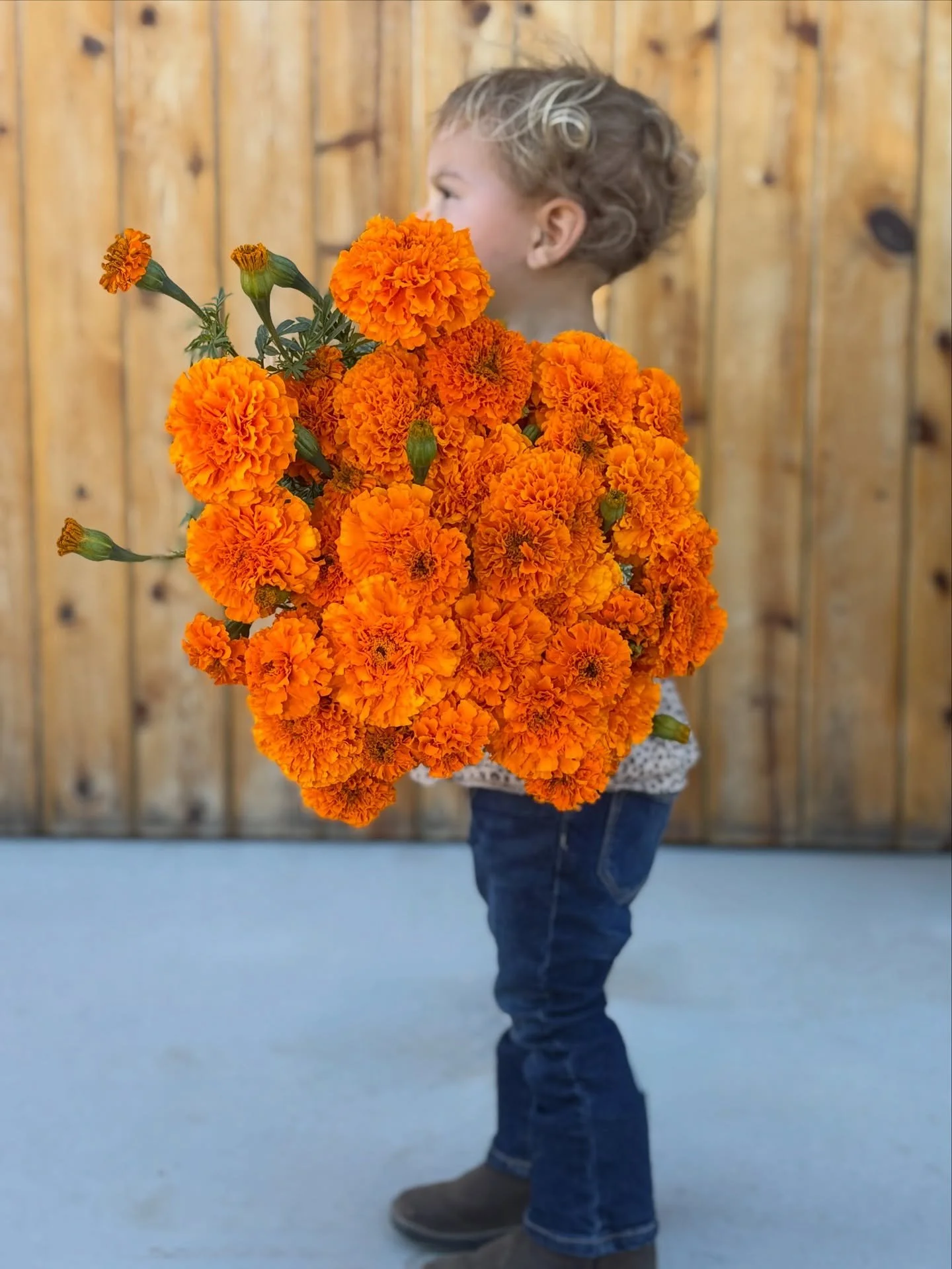 October recap 🍁🌻

Fall flowers, quick trip to Montana for Yazmin&rsquo;s uncle&rsquo;s funeral, wholesale deliveries, and ranunculus corms purchased and about to be planted. Busy month came and went! 

#fallflowers #dahlias #marigolds #sunflowers #