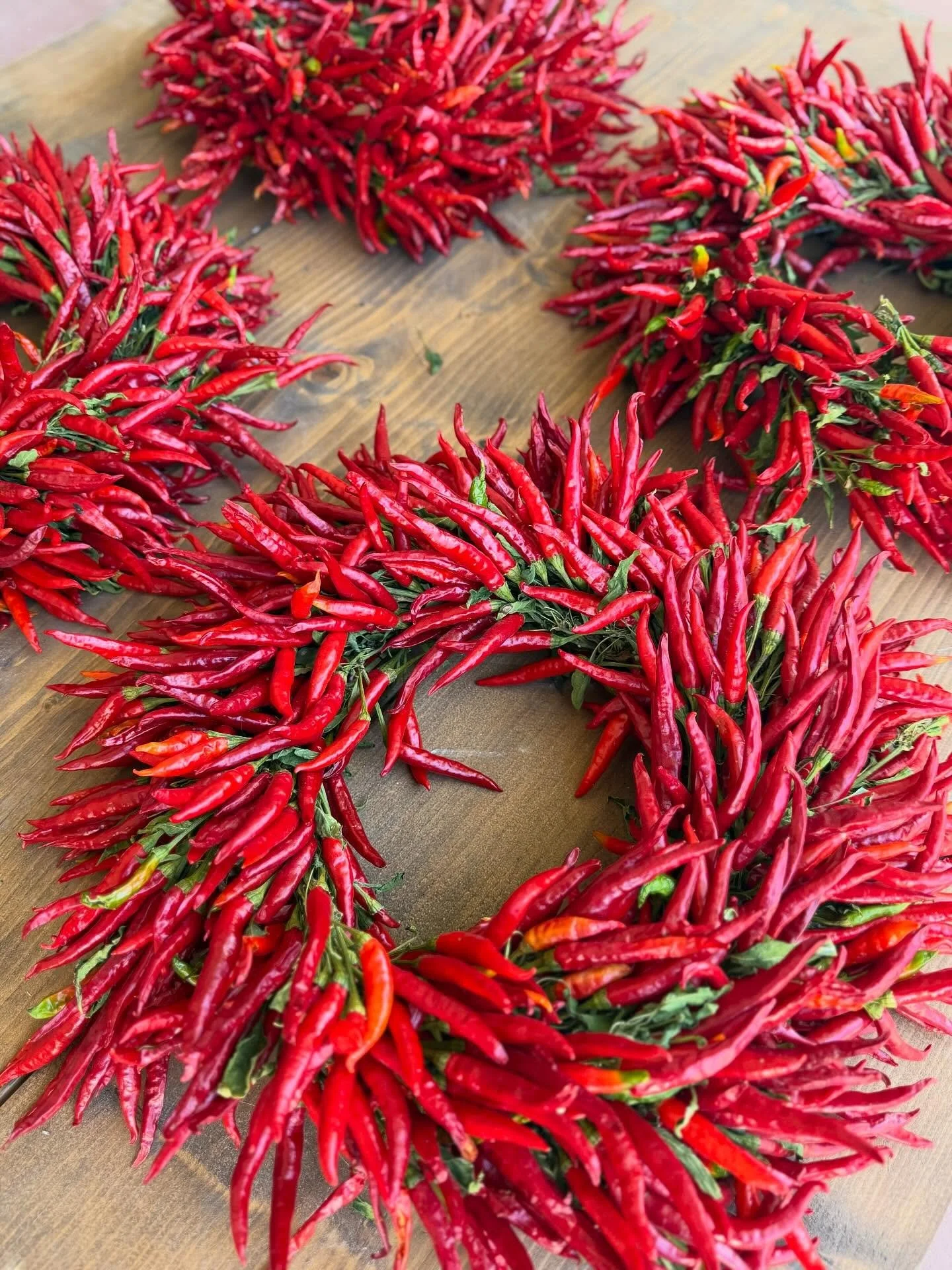We are starting to build our wreath inventory for the holidays and we are loving these chili wreaths! 🌶️ These are partially inspired by New Mexican chili art, which is a nice nod to where Yazmin was born. 

Some big things are happening behind the 