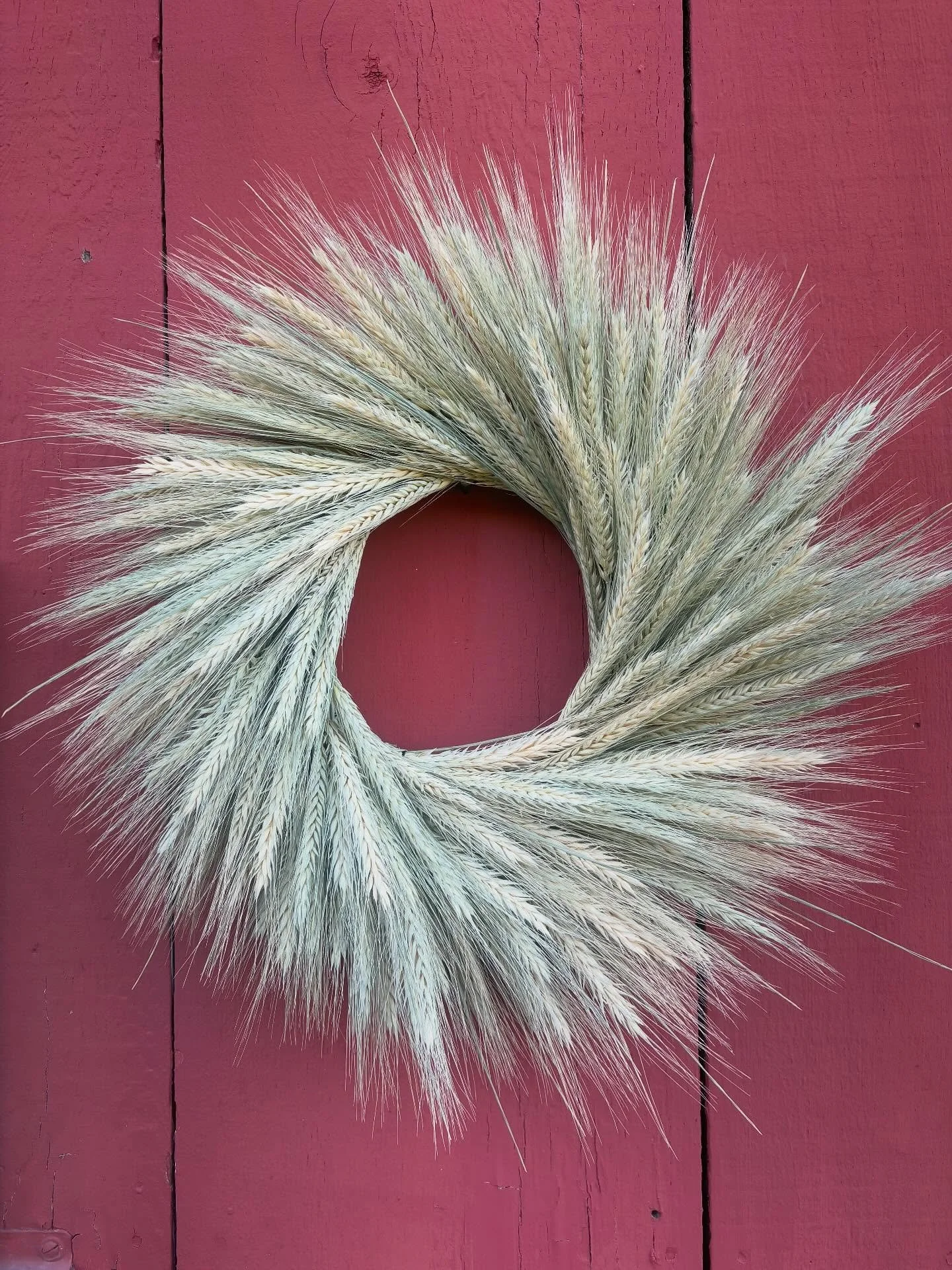 Making some wheat grass wreaths 🌾💛 

These will all be available very soon 😊

#wreath #driedflowers #fall #grass #flowerfarm