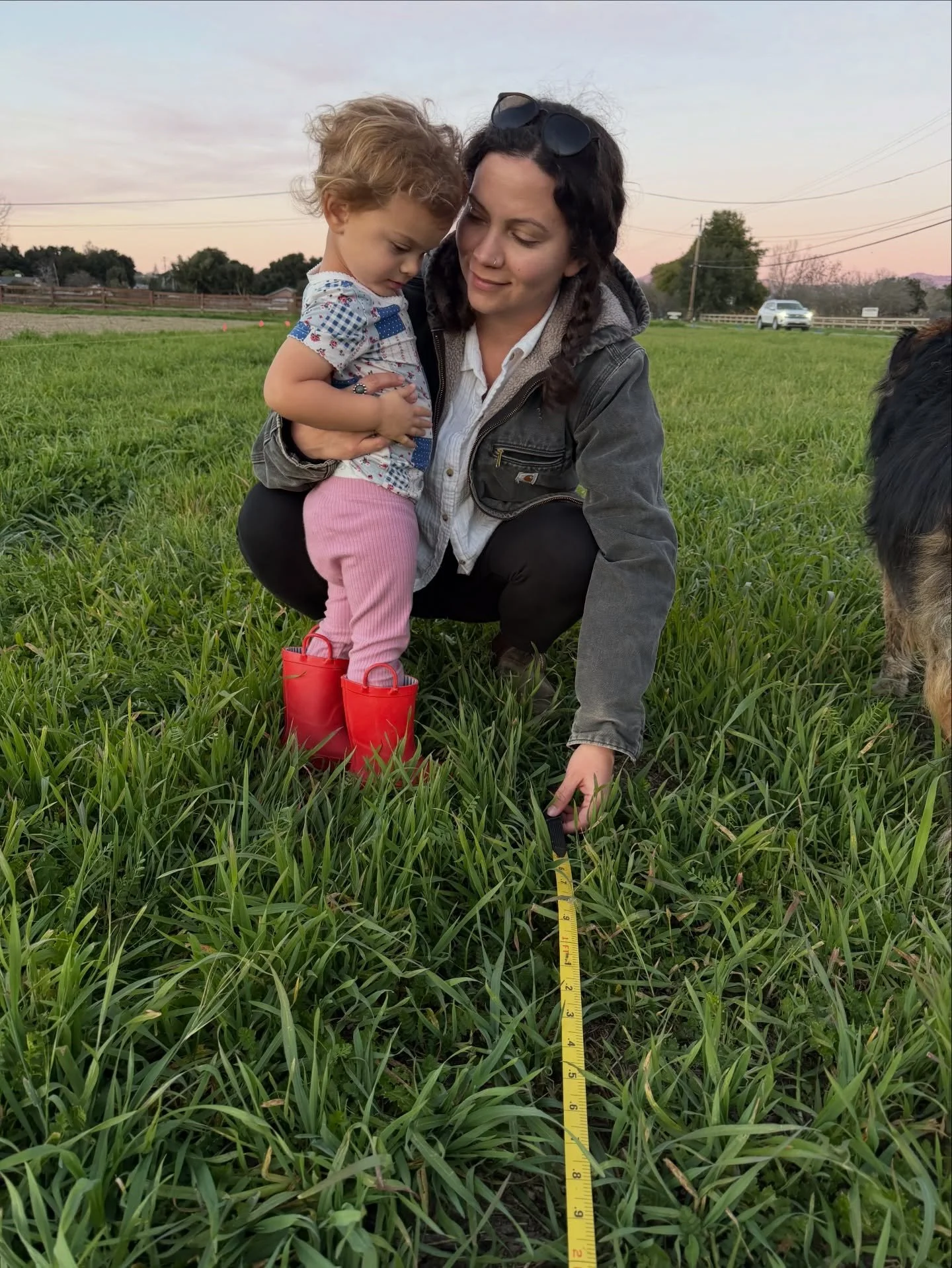 We&rsquo;ve been measuring and marking where the farm stand is going to be and the overall layout of the farm at our new property. We&rsquo;re scheduled to get the stand built next week so our next step is making the pad for it. Those may seem like f